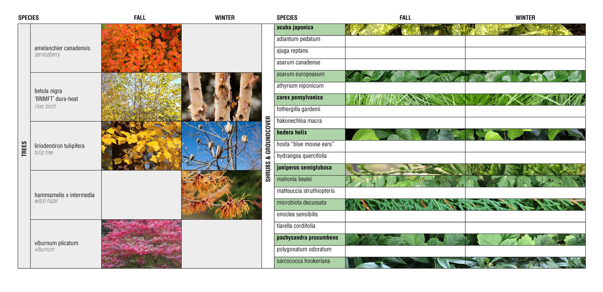 planting seasonality - fall &amp; winter