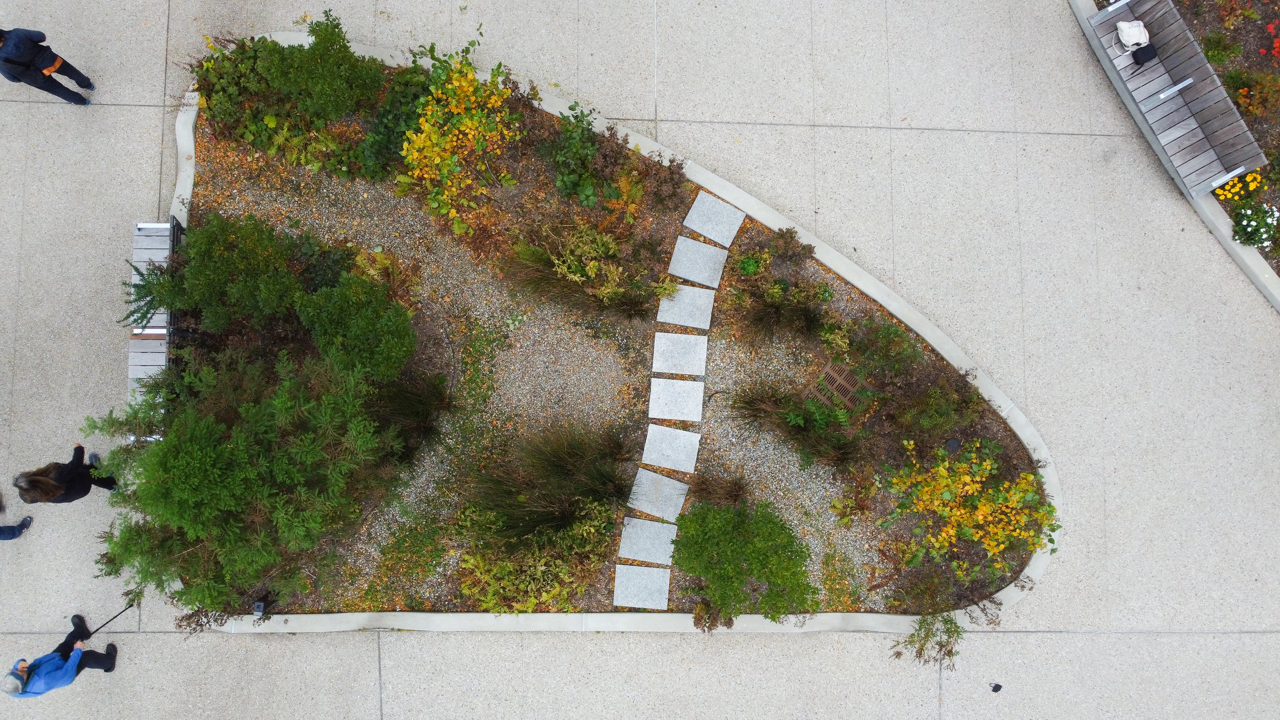 DJI_0860.jpg