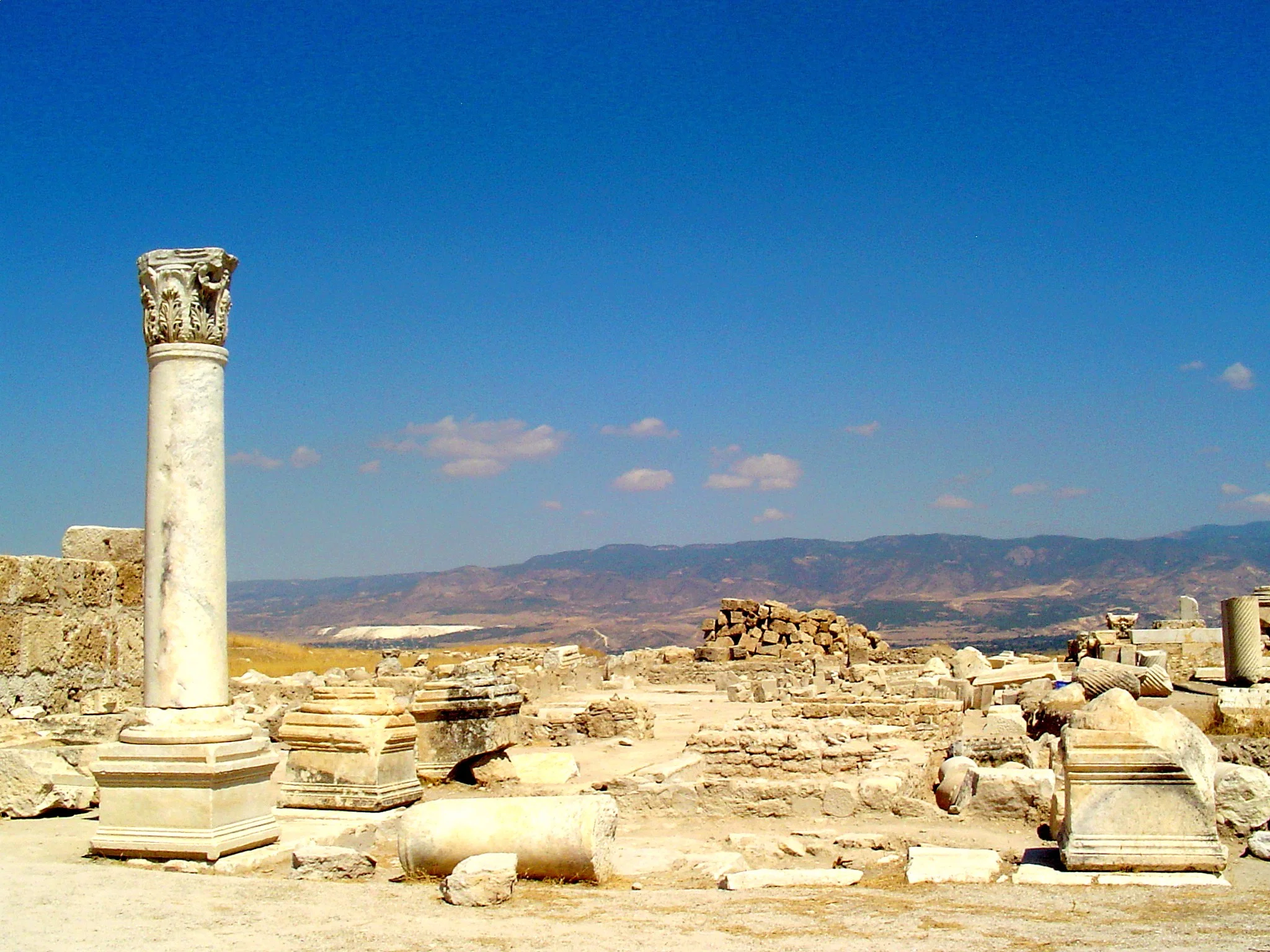 laodicea