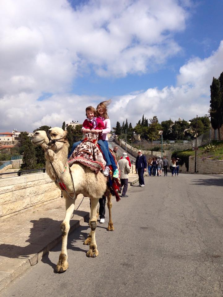 Camel ride - CO Springs Israel 2015.jpg