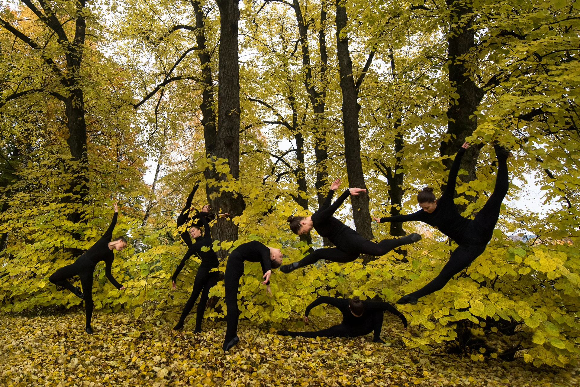 _DSC2837-Edit.jpg