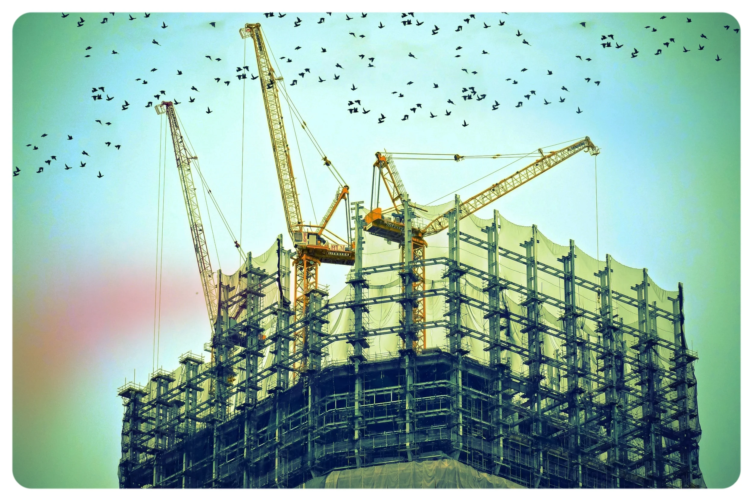 New market entrants: challenging the paradigm