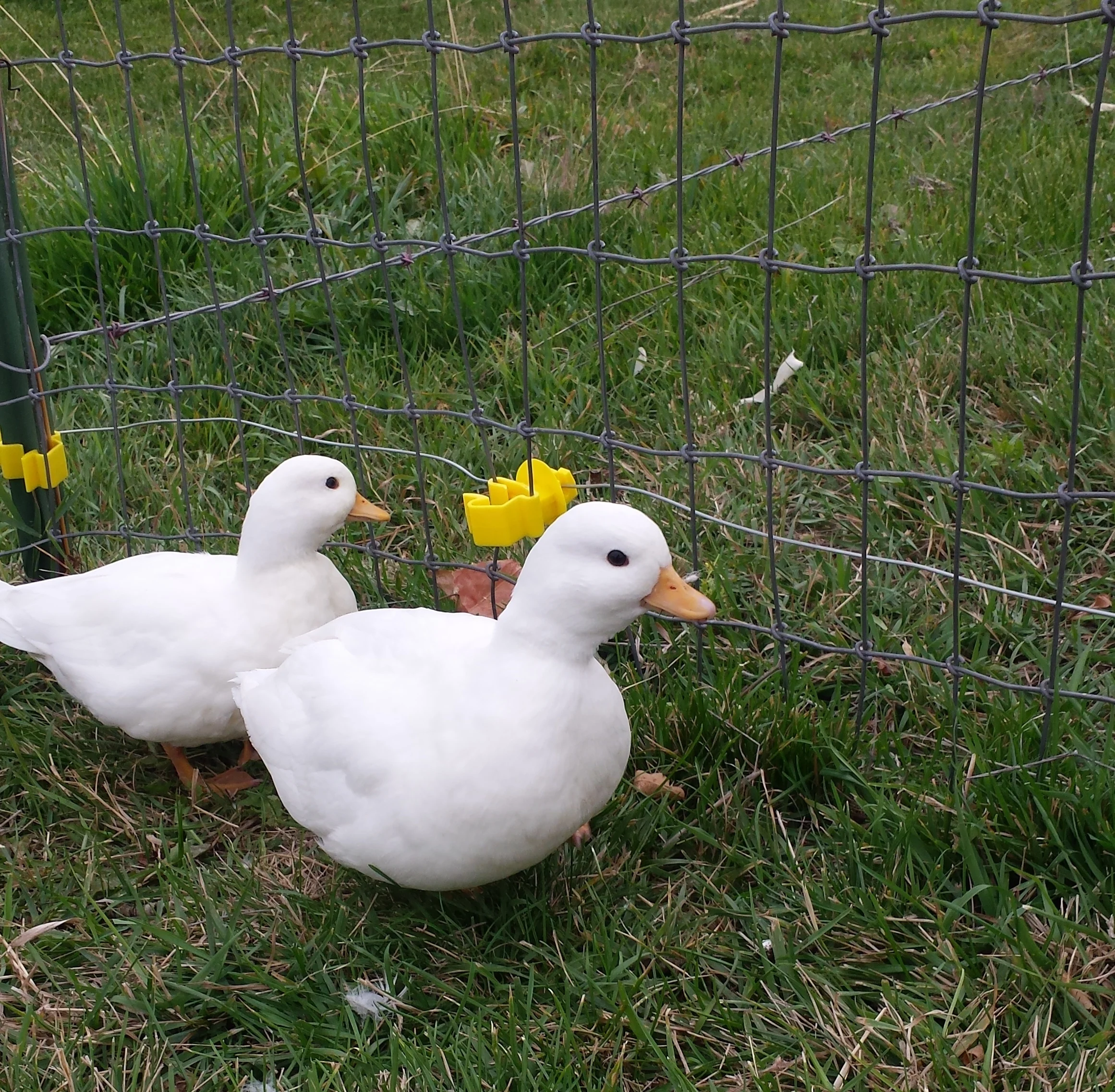 20151007_121545.jpg