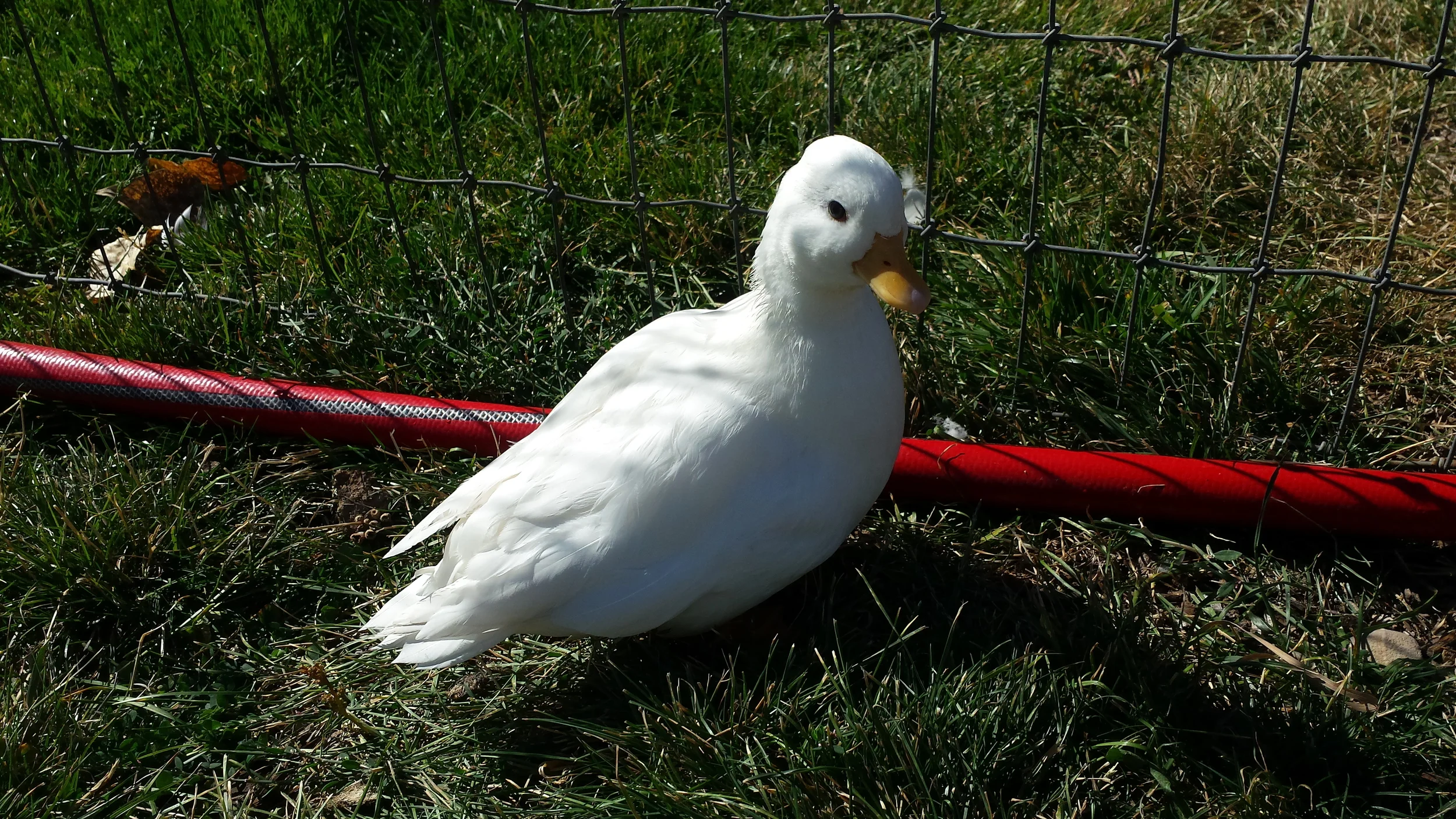 20150928_142621.jpg