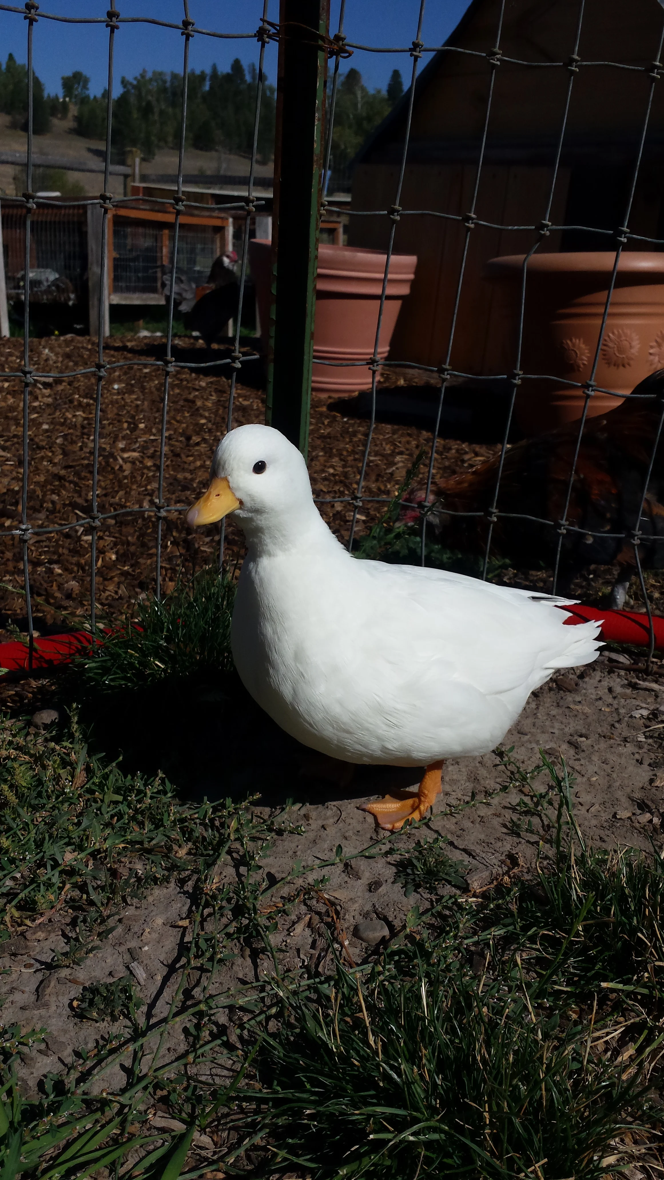 20150928_143047.jpg