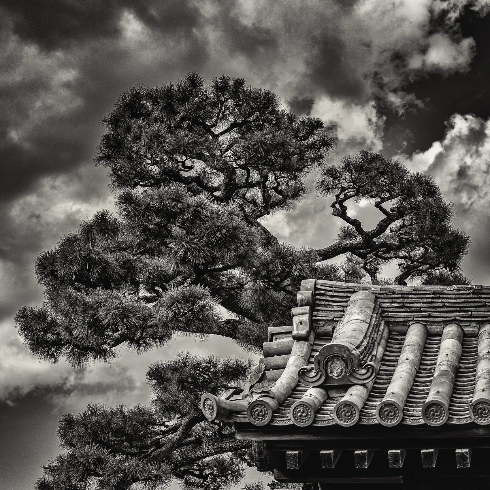 Japan #6 by Joe Carline
