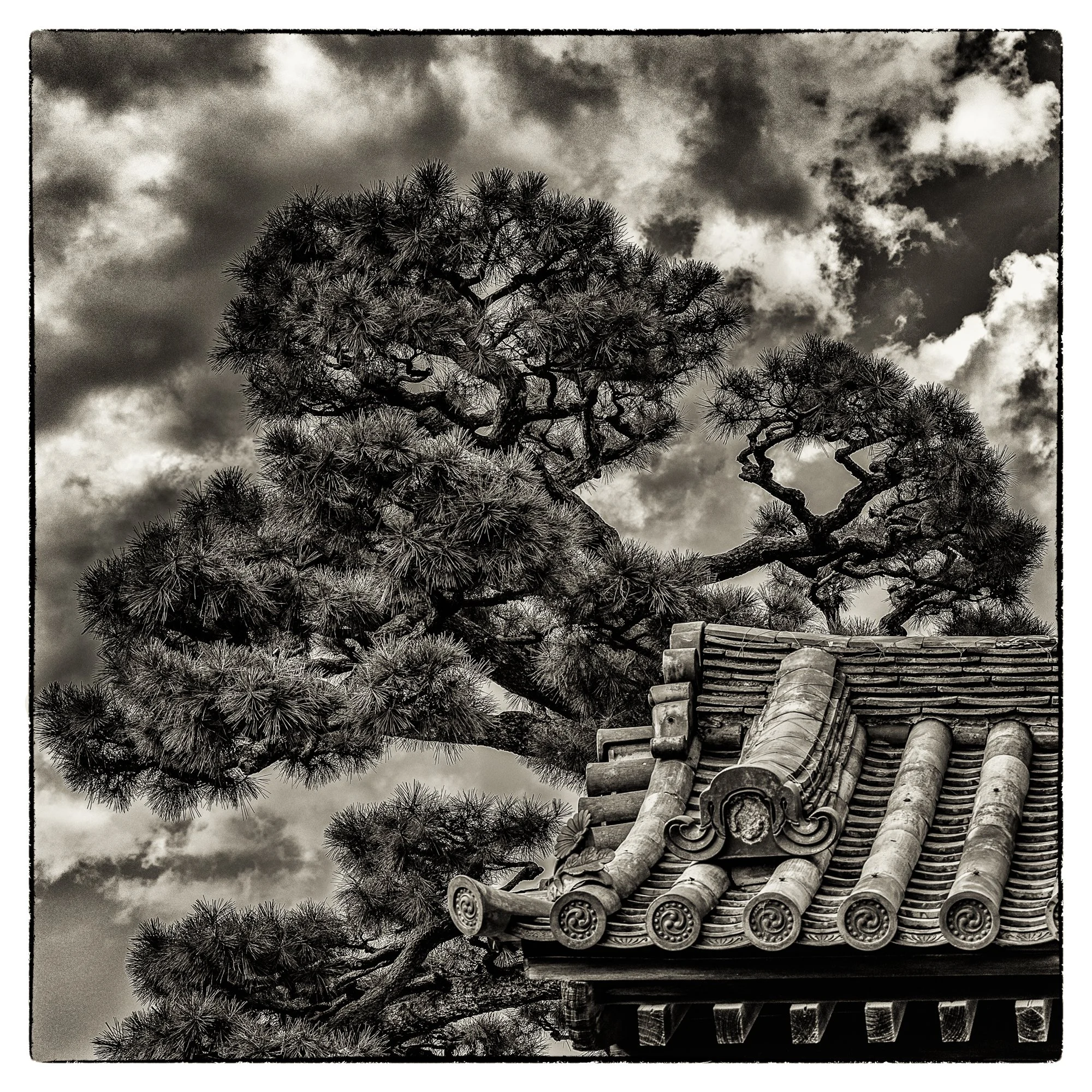 Japan by Joe Carline