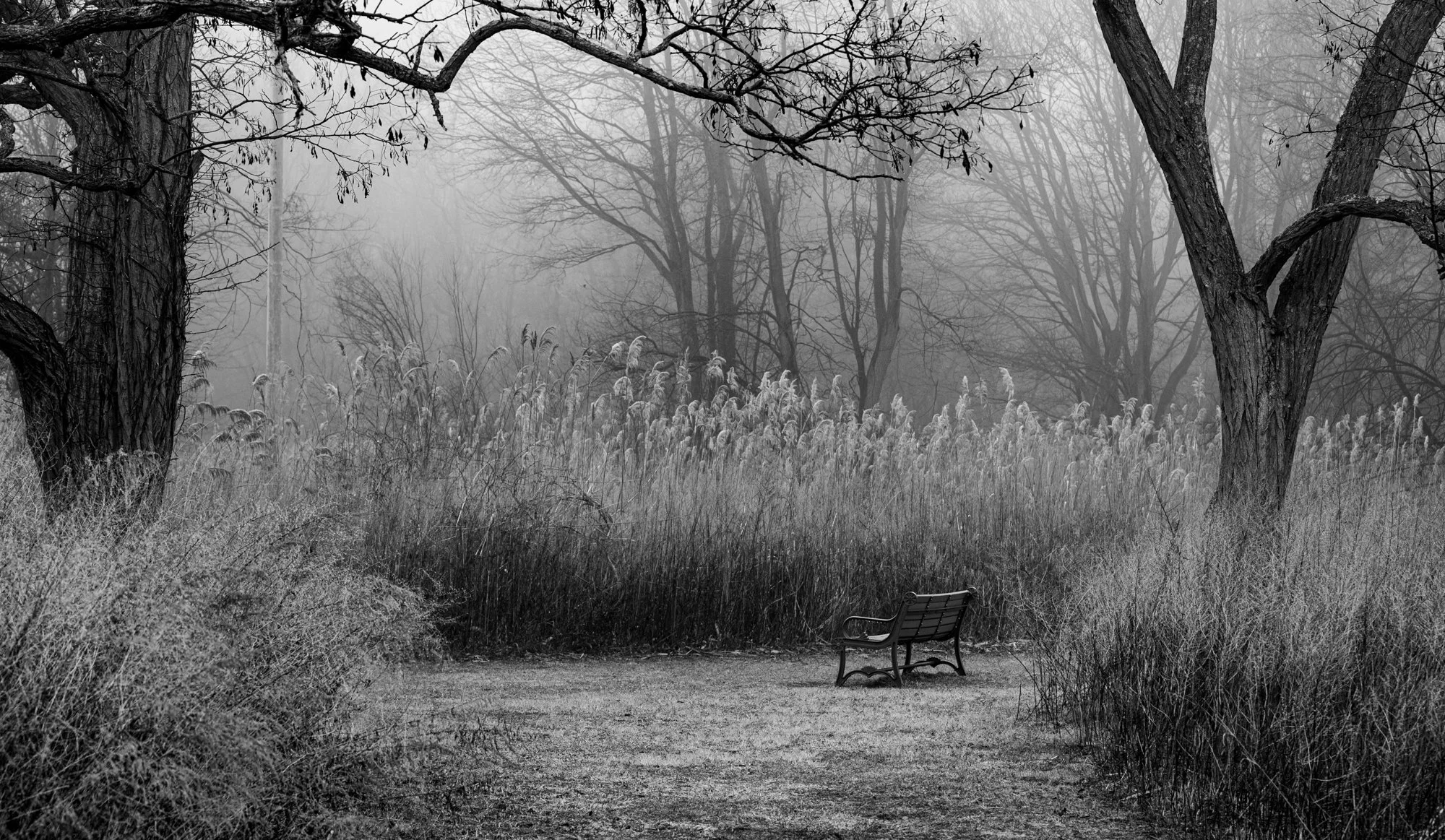 Moment for Contemplation by Alison Rodilosso