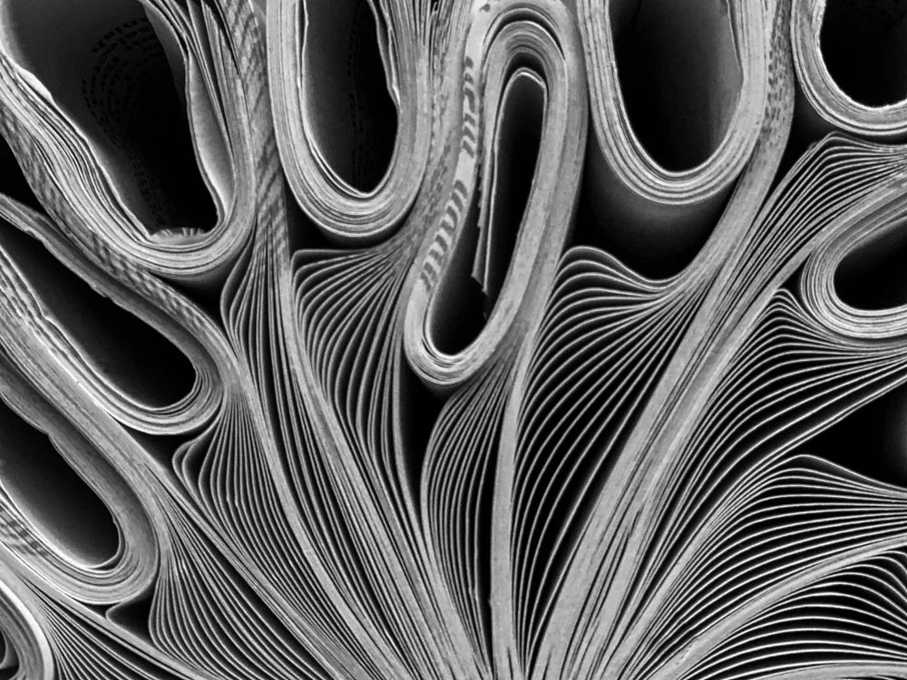 Tucked by Ilene Africk