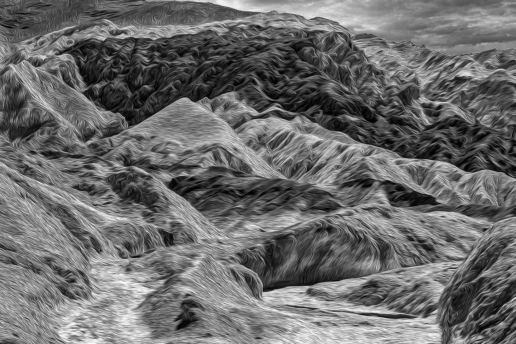 Twenty Mule Grain Death Valley by Barry Guthertz