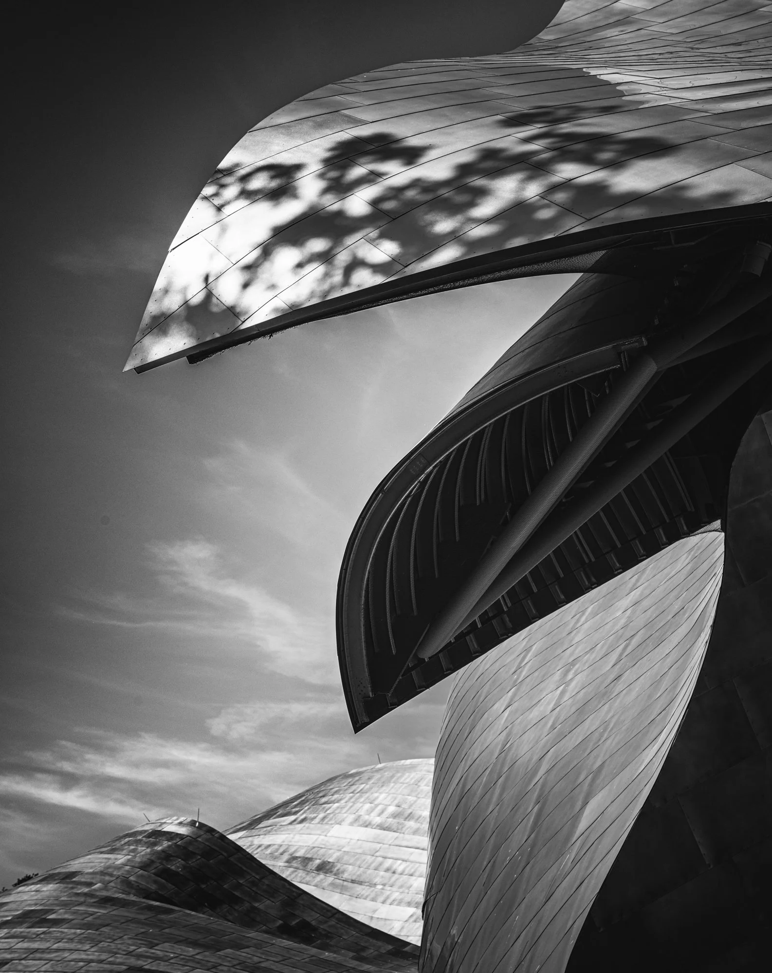 Gehry Bard College by Joe Carline