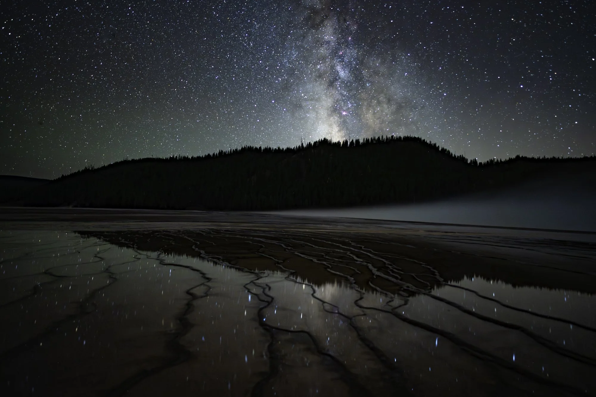 Night 6 by Marcy Cohen