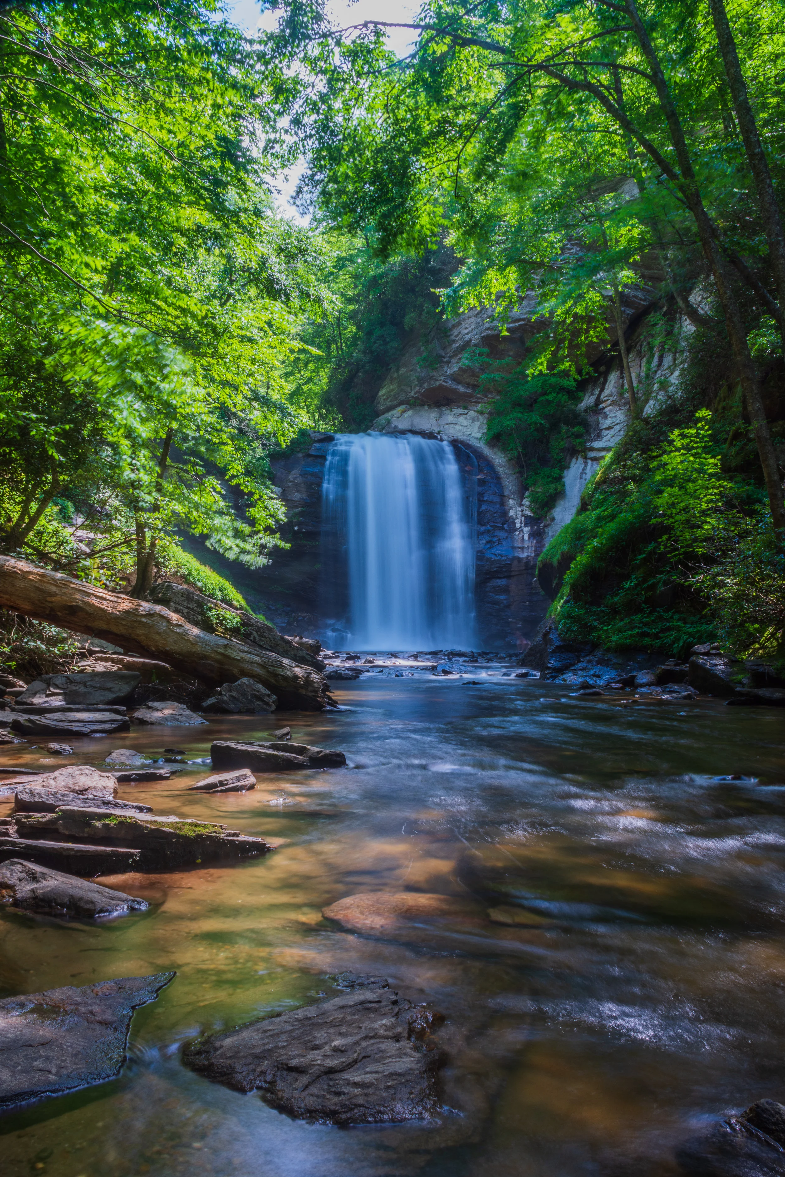 Looking Glass Falls.jpg