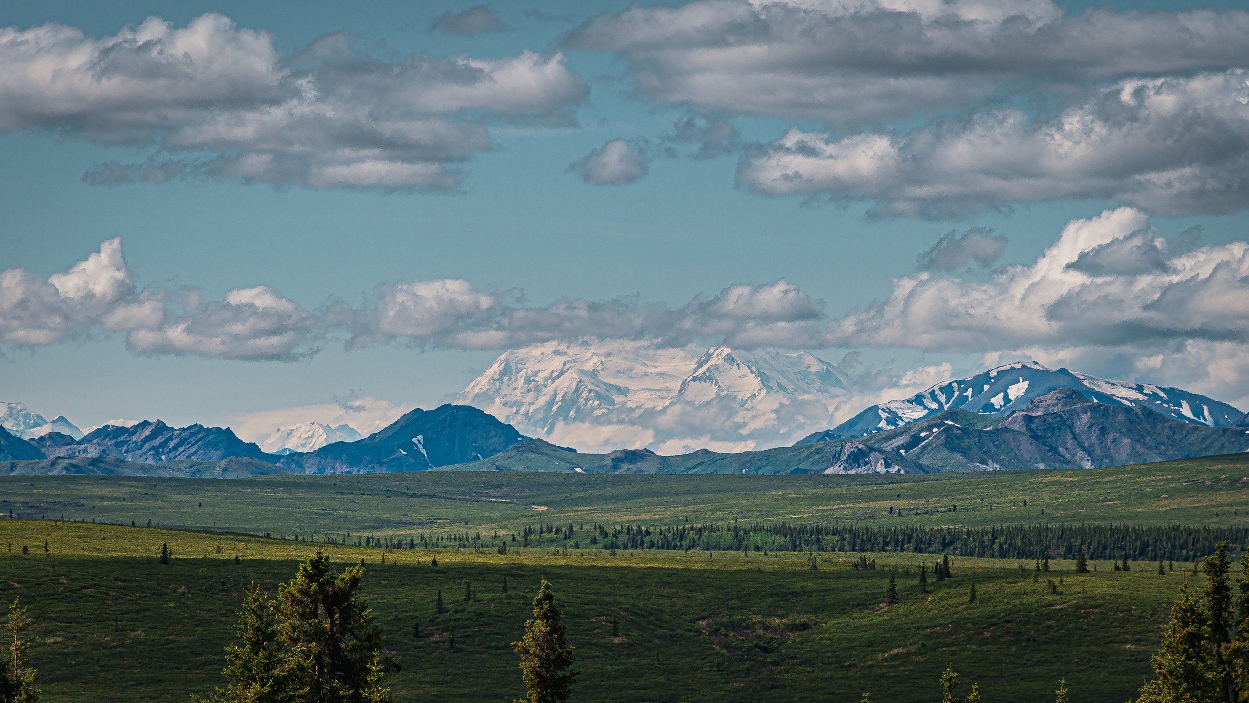 Denali 2.jpg