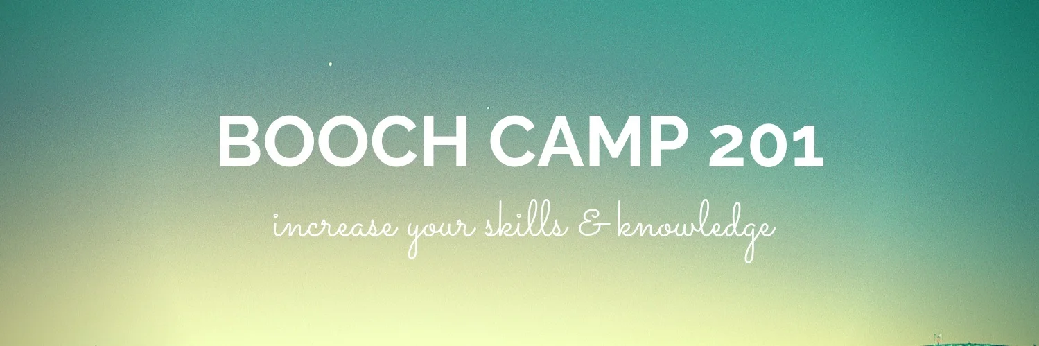booch%2Bcamp%2B201-b.jpg