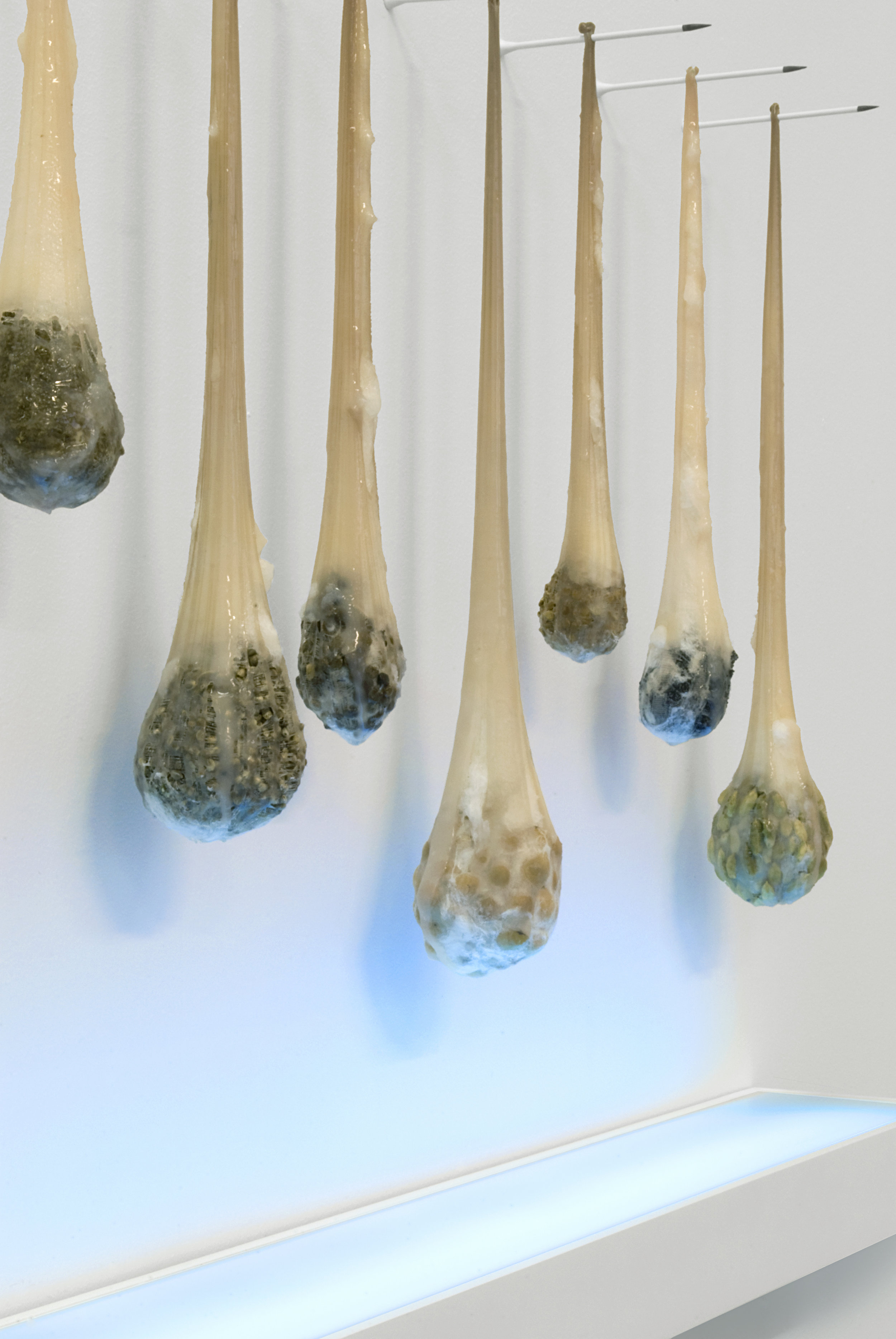 margaux-crump-desiring-sterilizing-desiring-d1.jpg