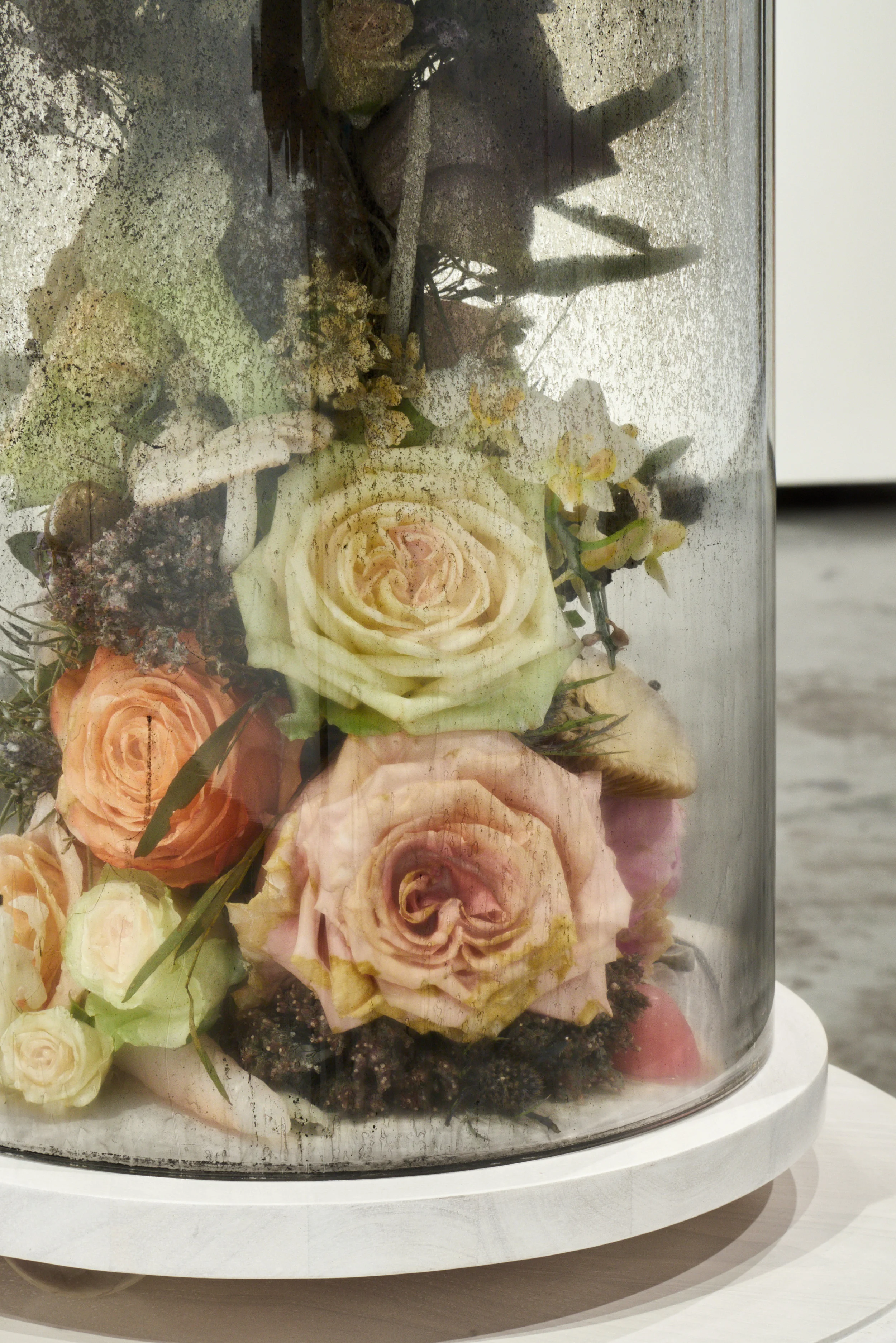 In Bloom_D03.jpg