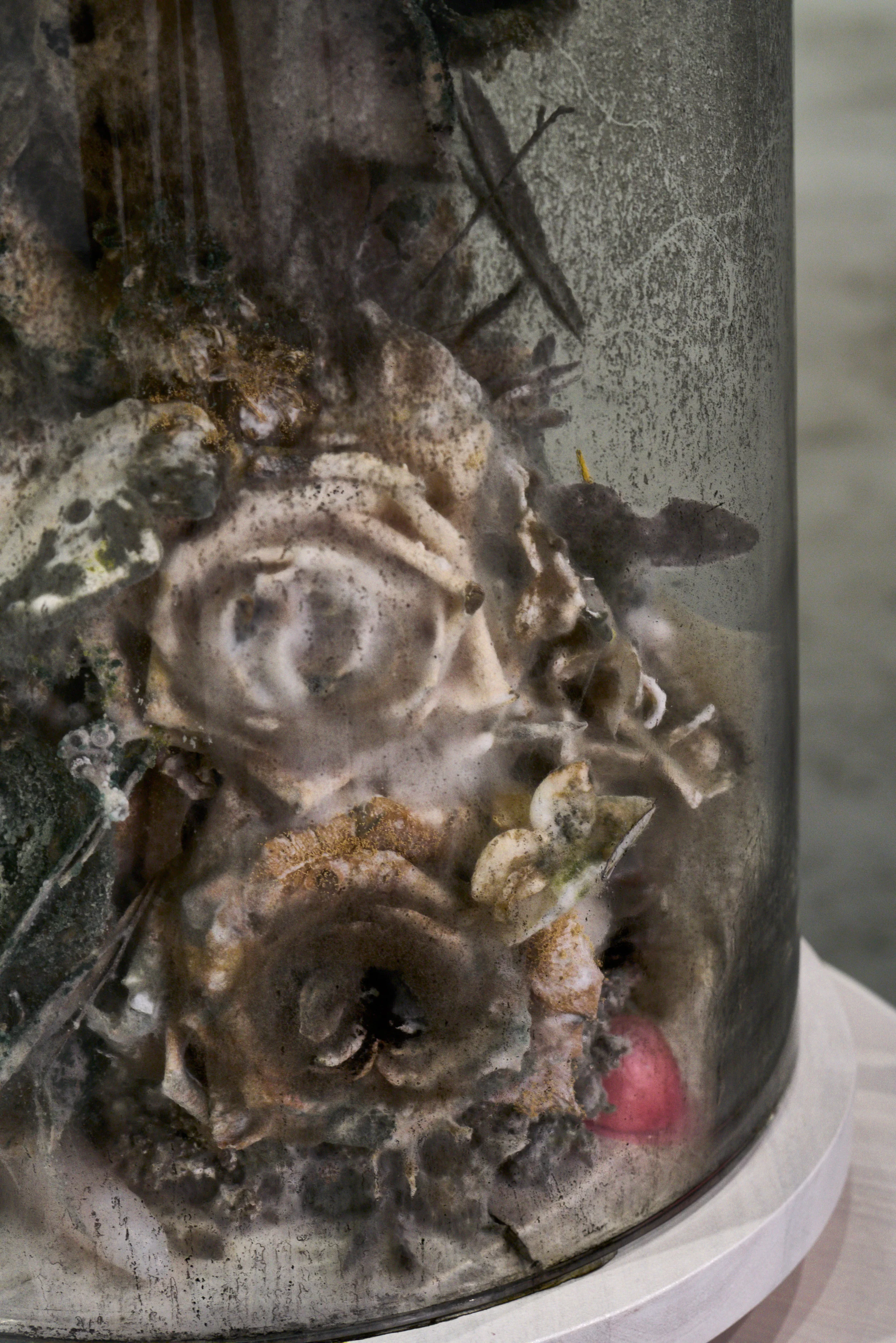 Installation and Talkabout images from The Lure, 2018; exhibited at Women & Their Work in Austin, TX