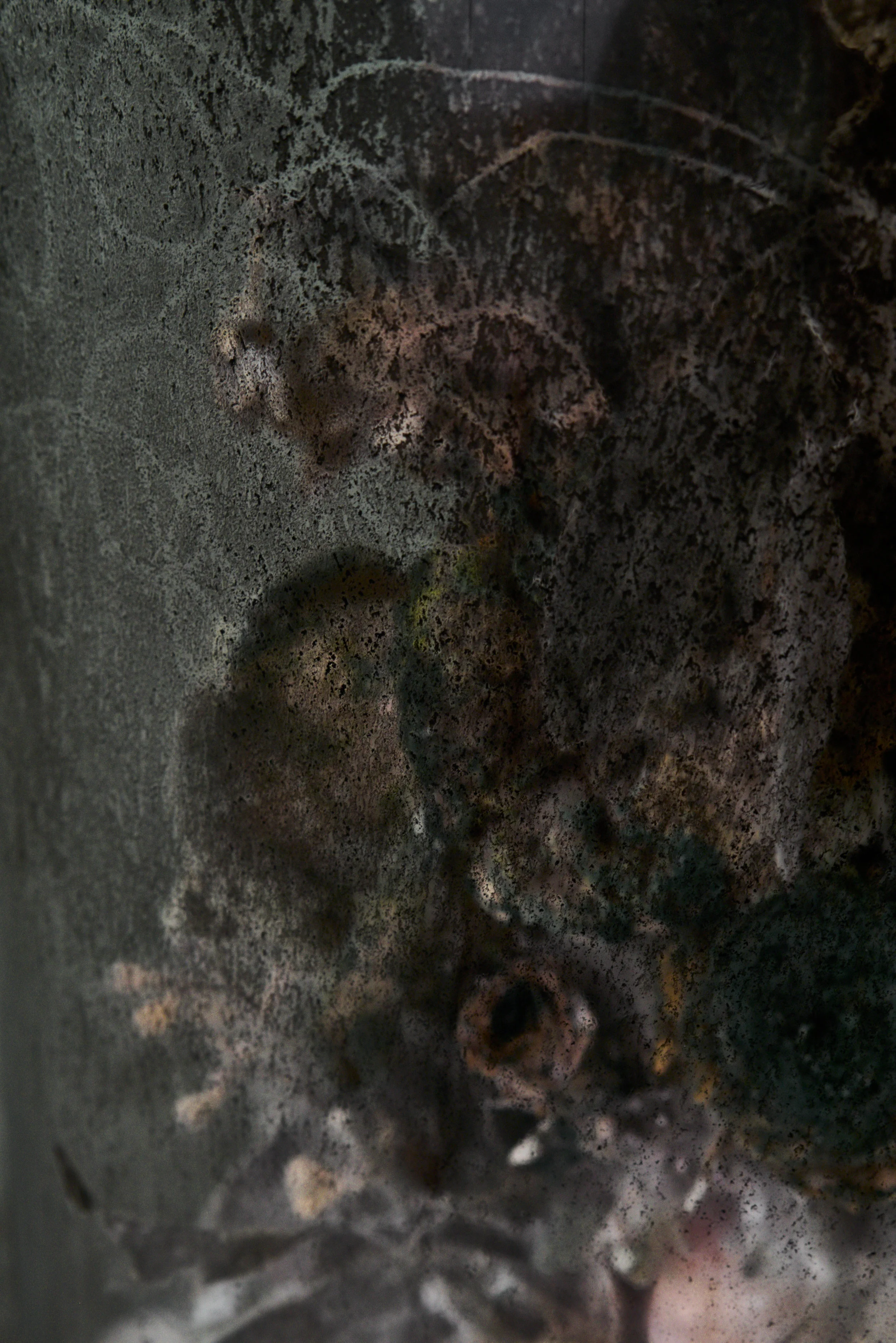 Installation and Talkabout images from The Lure, 2018; exhibited at Women & Their Work in Austin, TX