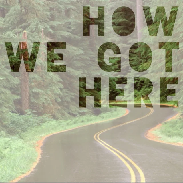 In Honor of Adoption Month:  How We Got Here {Sapaughs} 