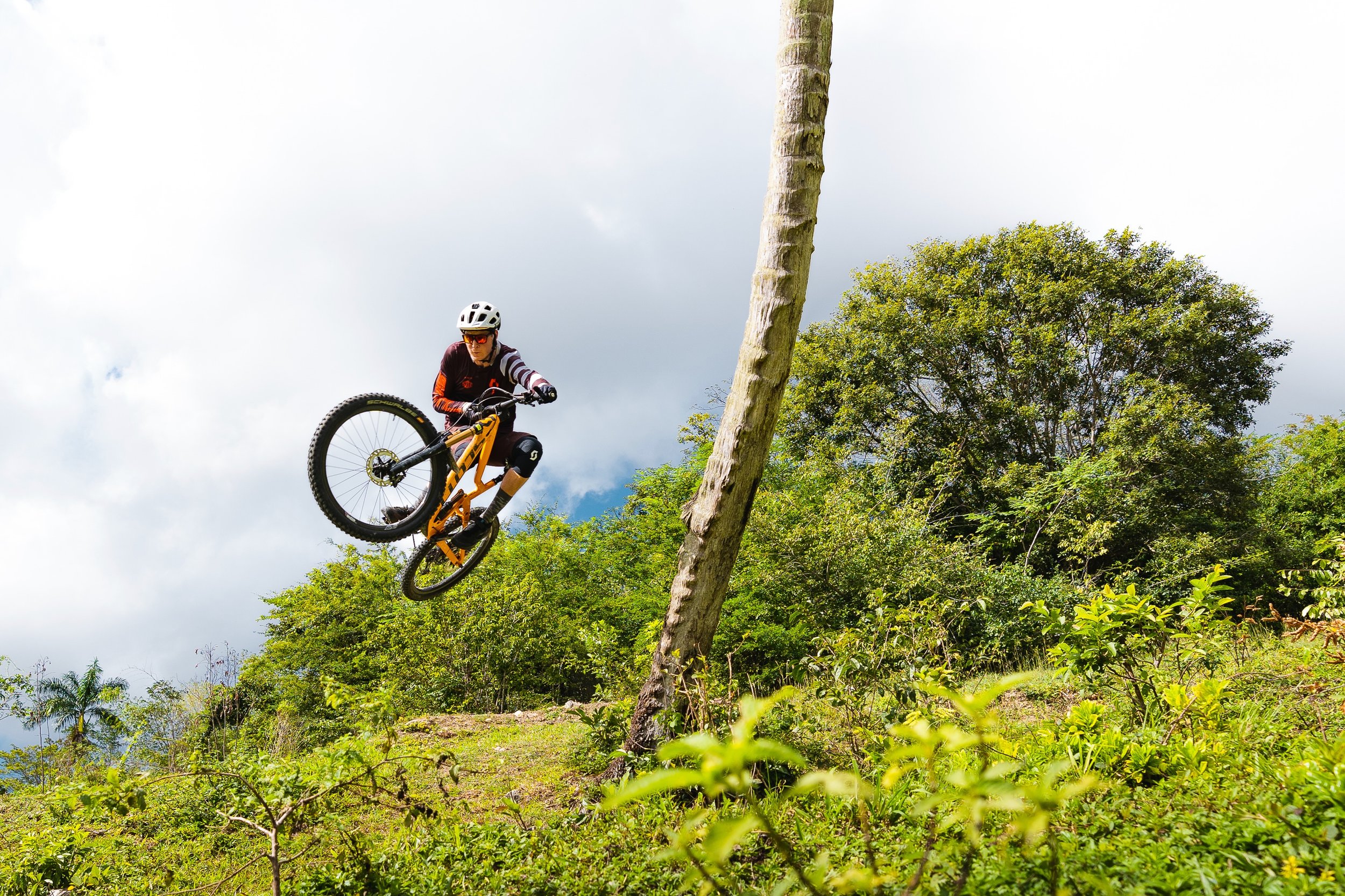 Jamaica Full Album-9.jpeg