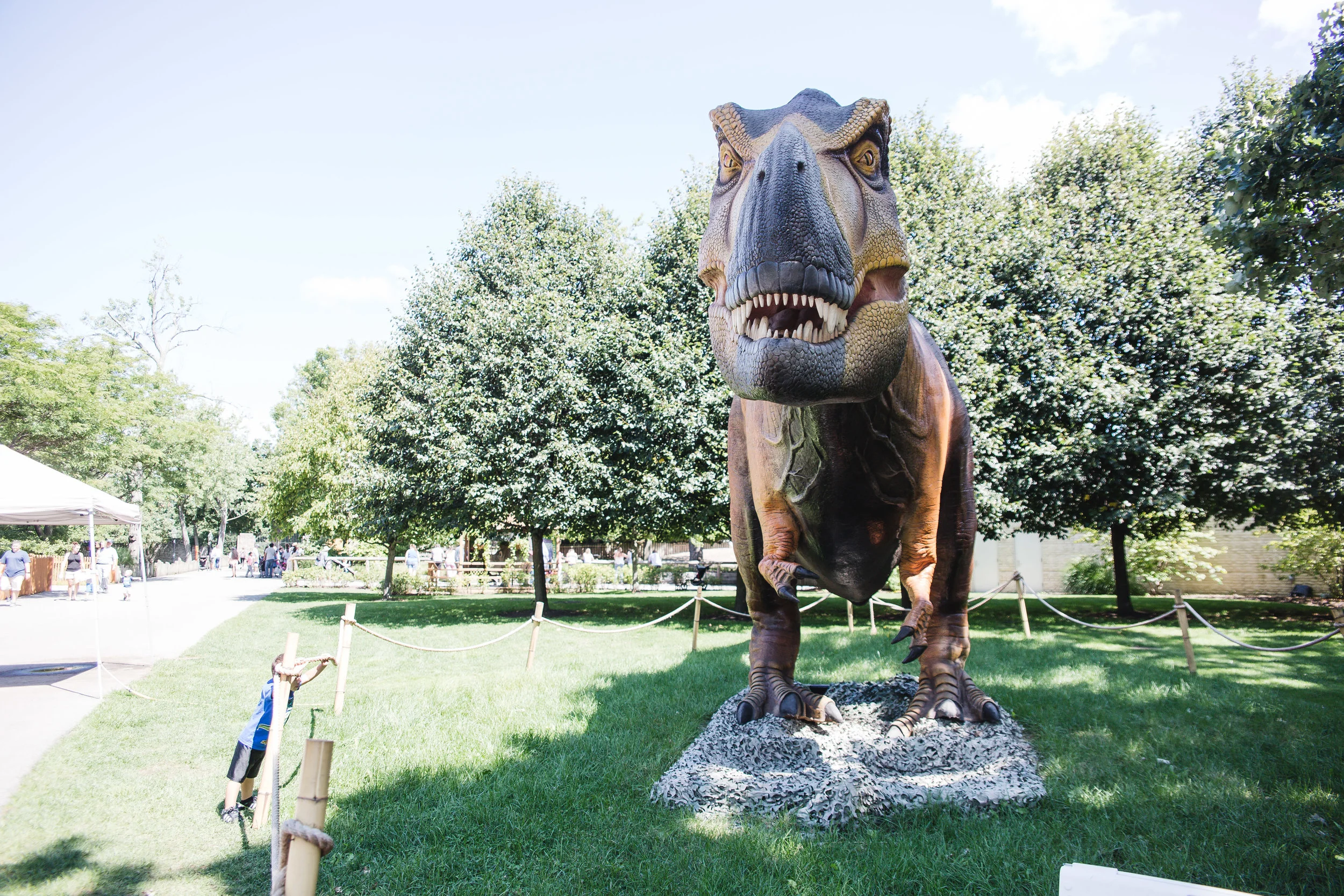 BUFFALO-ZOO-LR-0037.jpg