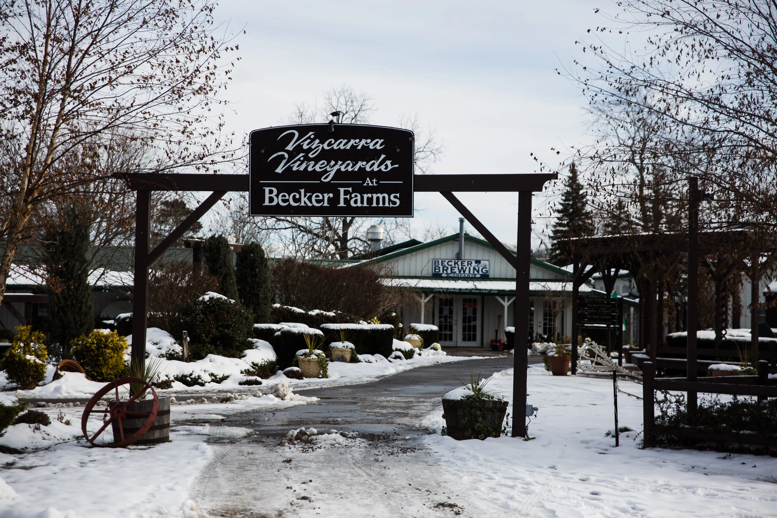 Becker Farms and Vizcarra Vineyards - Holiday Sip & Shop 2019 - Photographed by Ariel Hawkins Photography