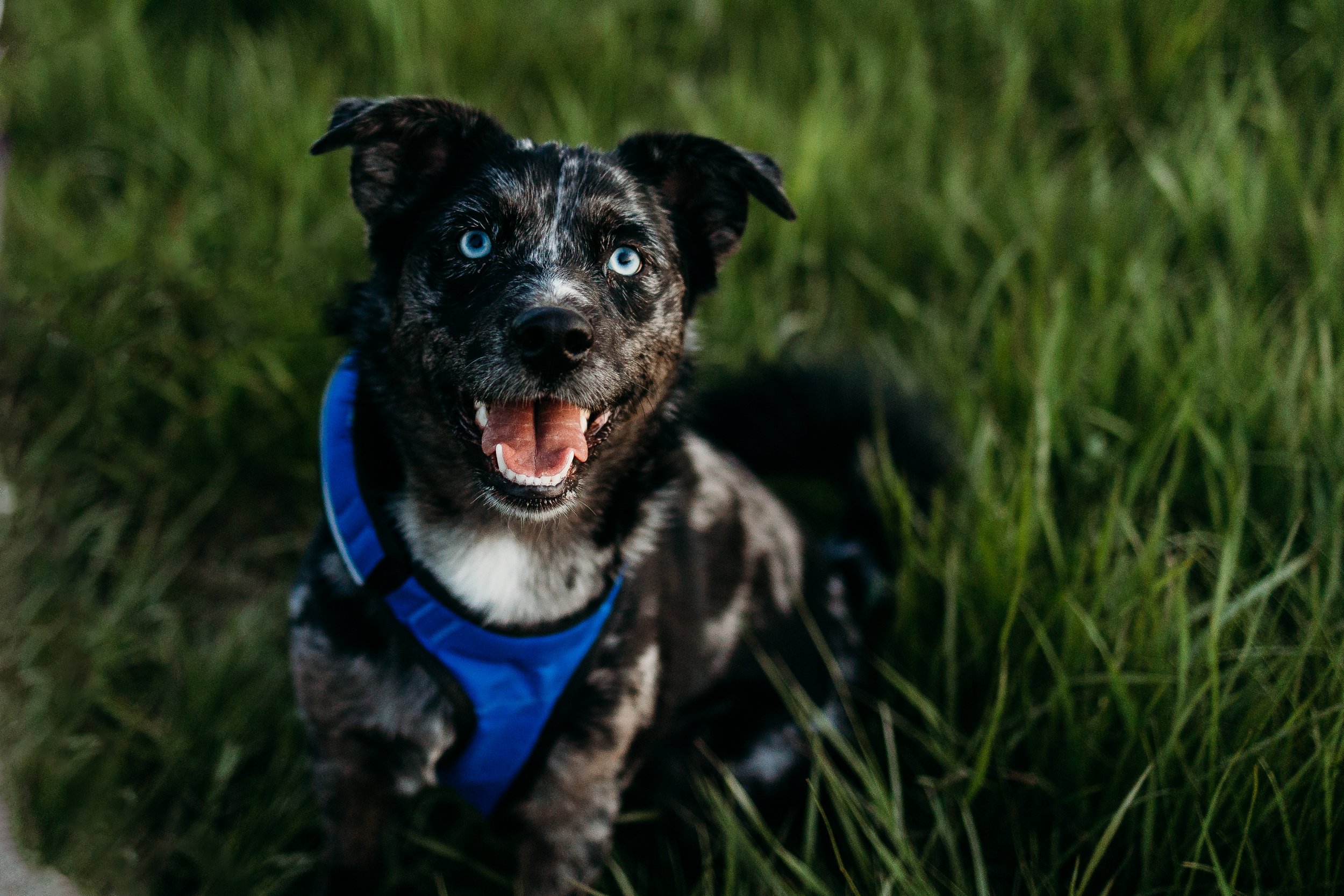 JJ.ESESSION-79.jpg