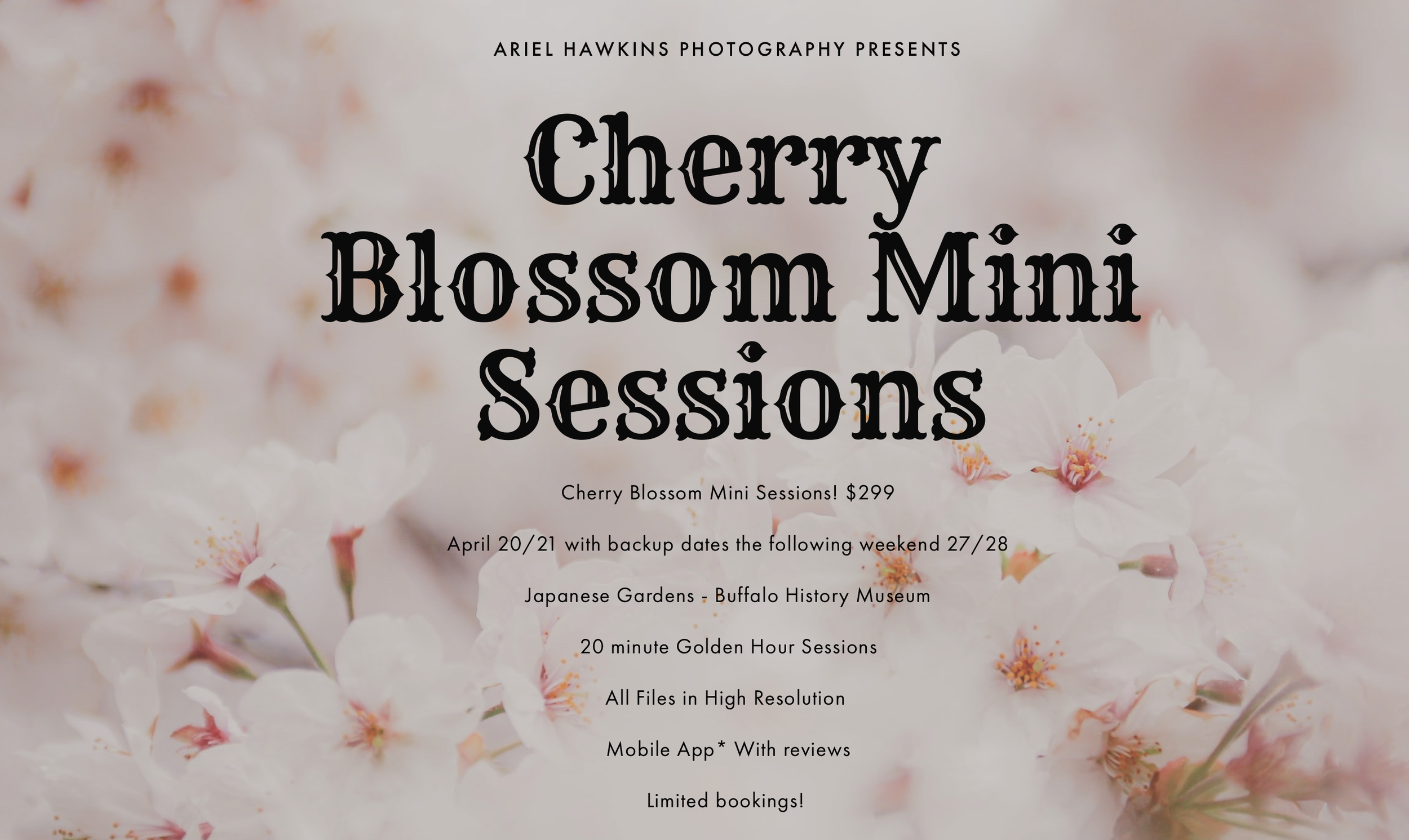 Cherry Blossom Minis with Ariel Hawkins Photography - The Buffalo History Museum, Buffalo NY  April 20th, 21st, 27th and 28th 2024