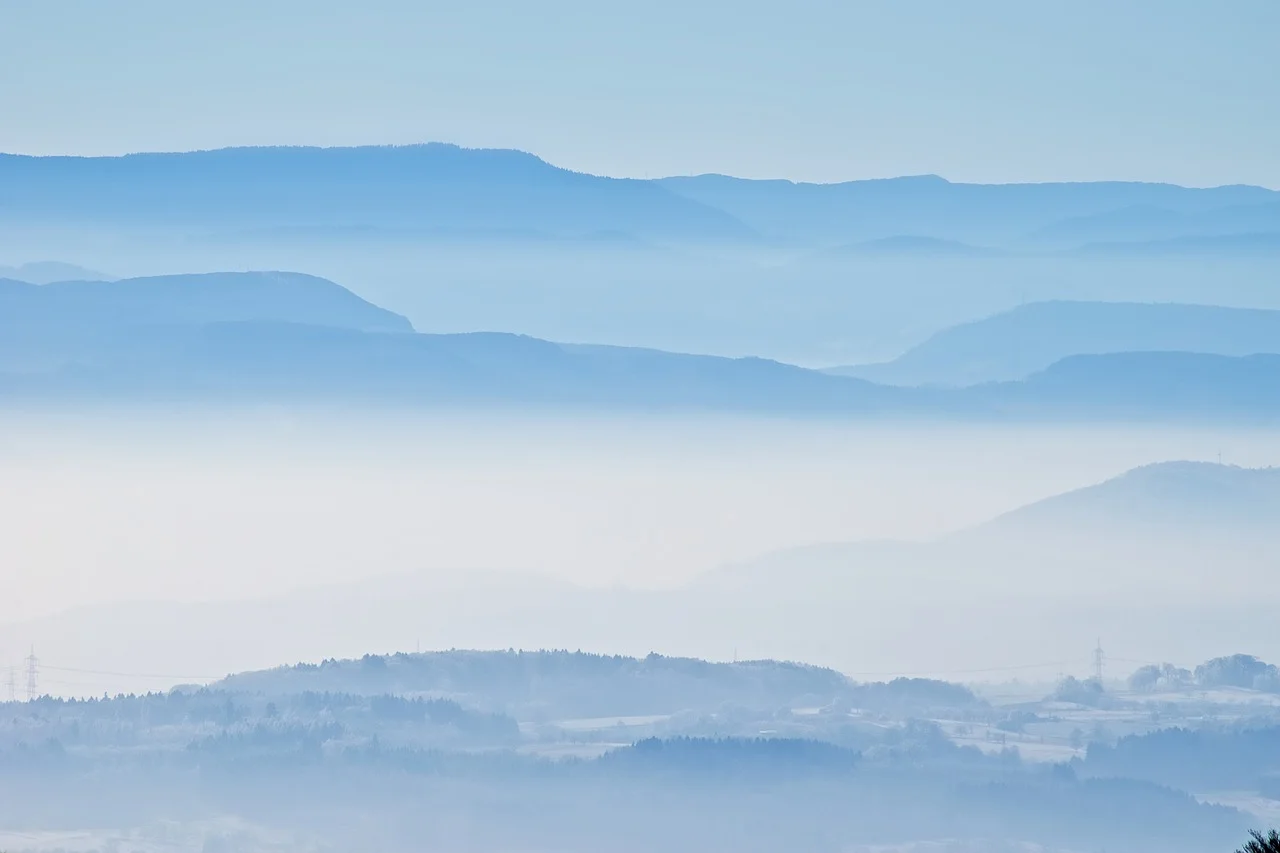 clearing.jpg