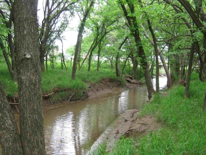 Wetlands