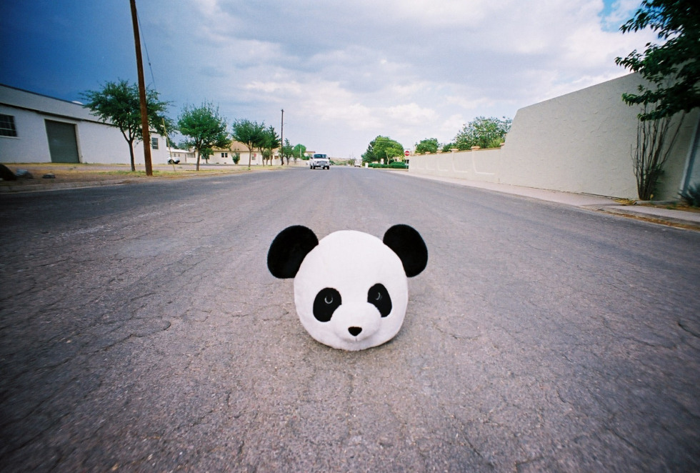 Image credit: Kevin Meredith aka Lomo Kev
