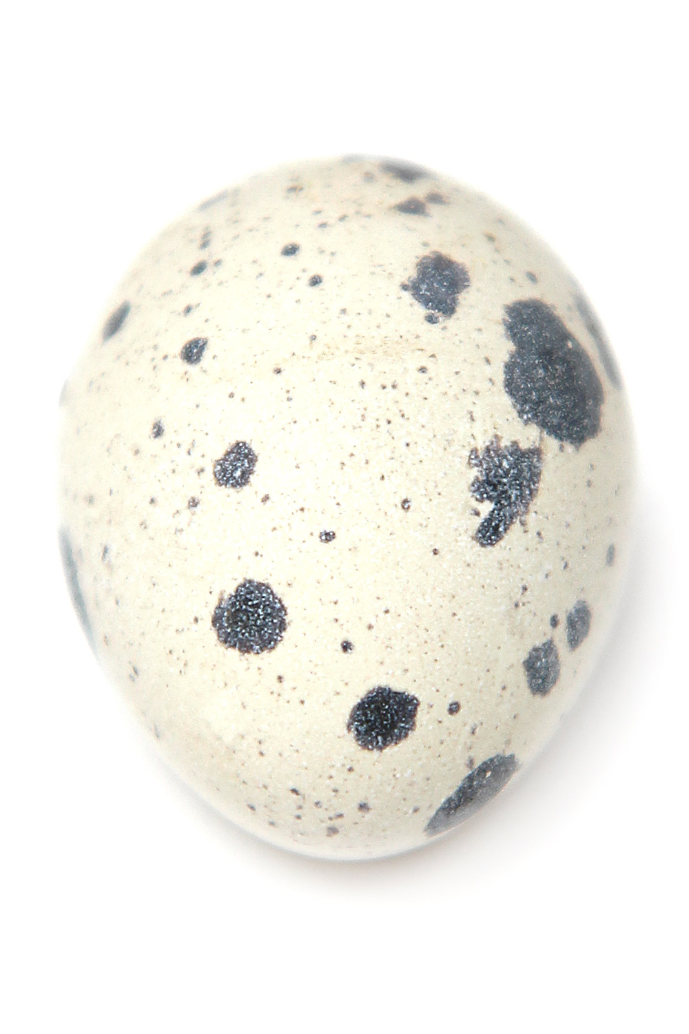 quail-egg-4.jpg