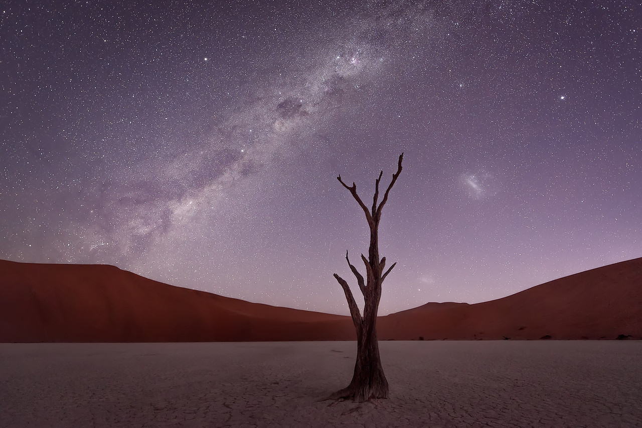 Image credit: Conor MacNeill