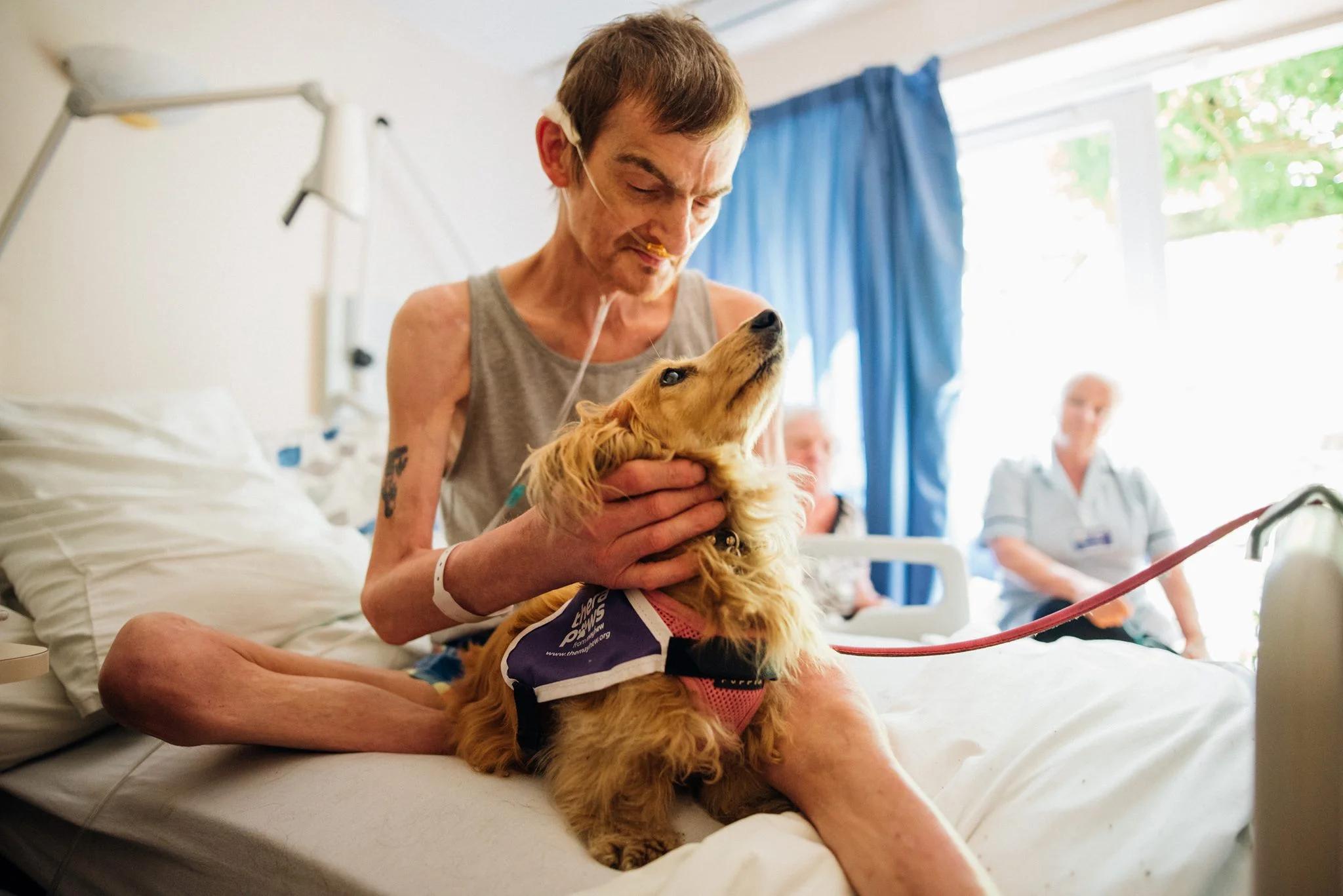 Image by Parrot and Pineapple from her work with Mayhew animal charity