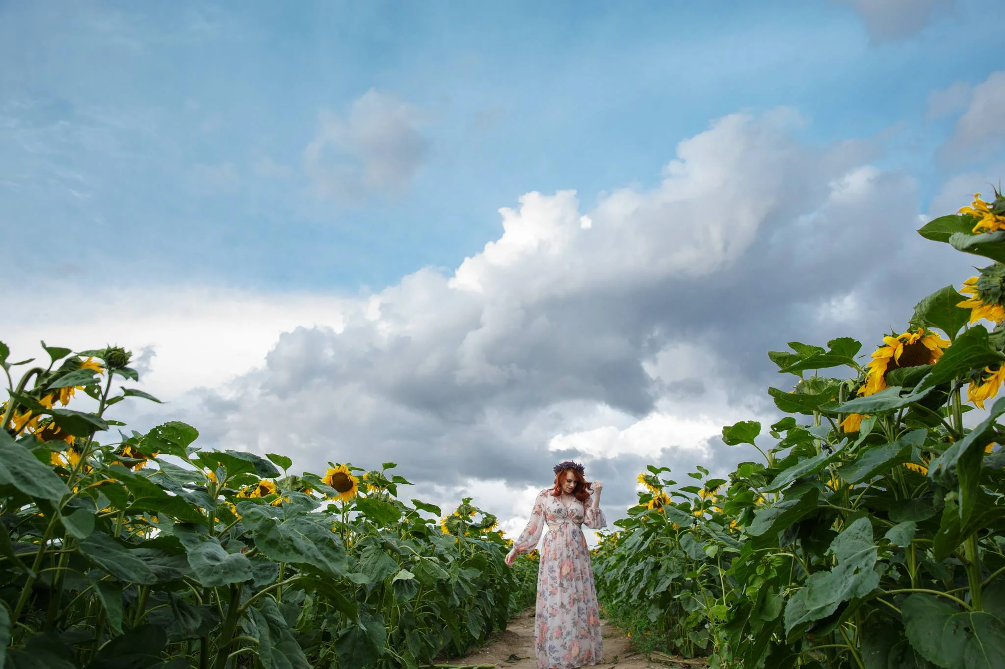 I'm not sure why I like this image so much, normally it's obvious why I might enjoy one photo over all the overs. This one, just makes me stop and look a little longer. I photographed it at the end of the Summer at Hitchin Lavender in the Sunflower fields. I don't seem to tire of looking *into* it. I guess that's what I hope for in each wedding I photograph, that some images do exactly that to anyone who looks or has a connection with them. www.sharoncooper.co.uk