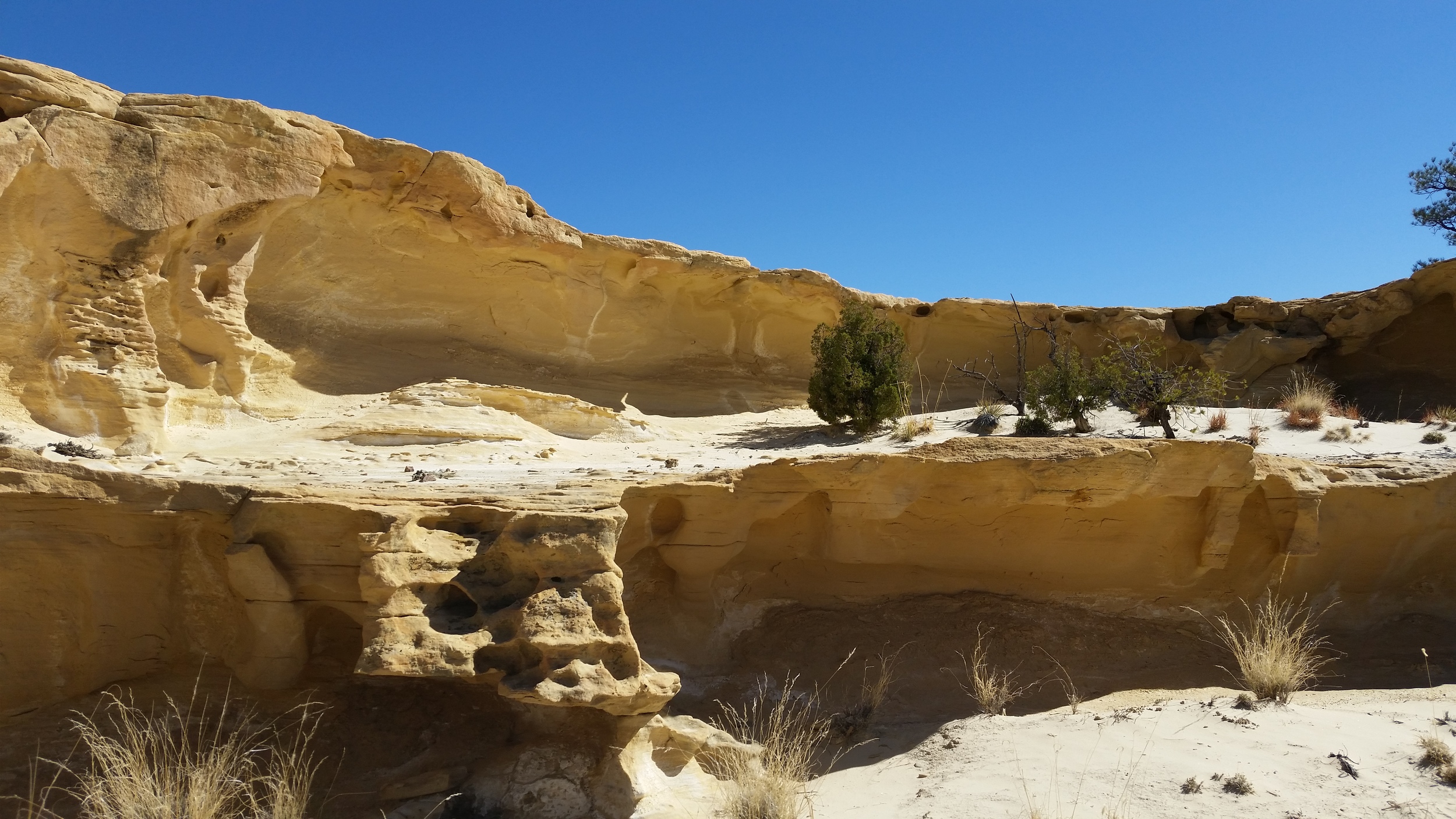  Curving tiers of stone. 