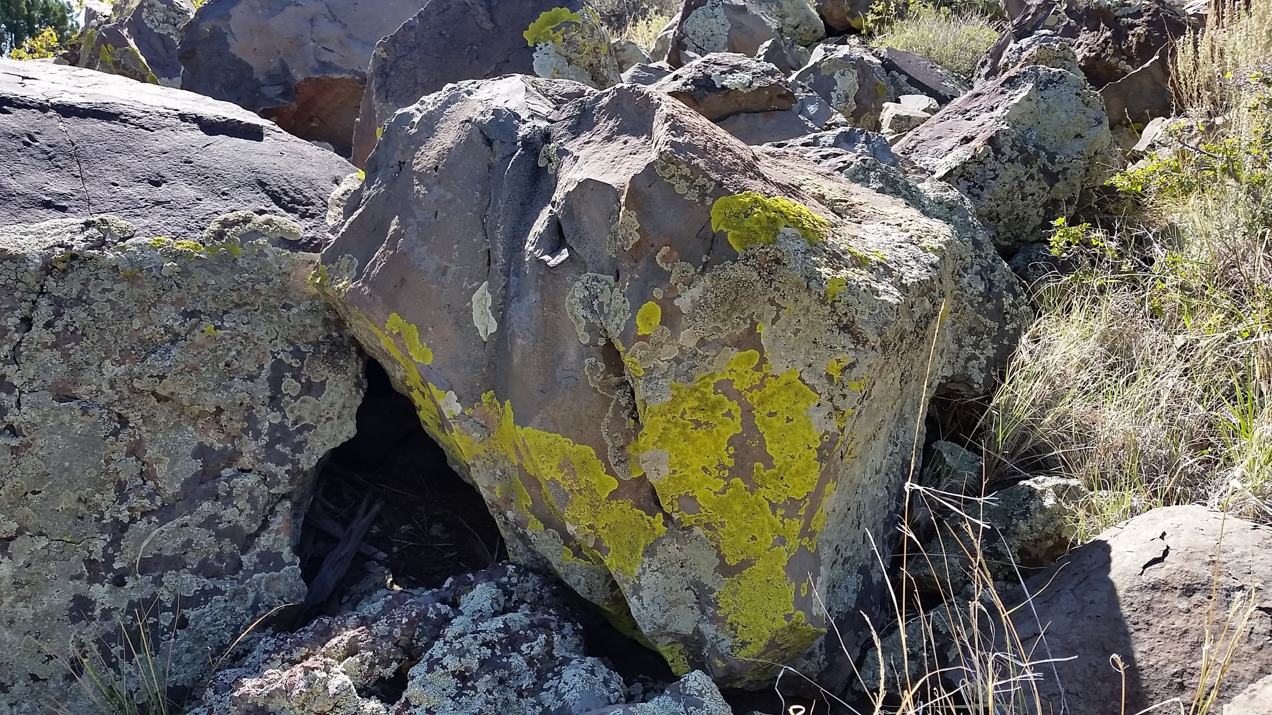  The basalt and lava boulders were covered in sage and acid green lichen. 