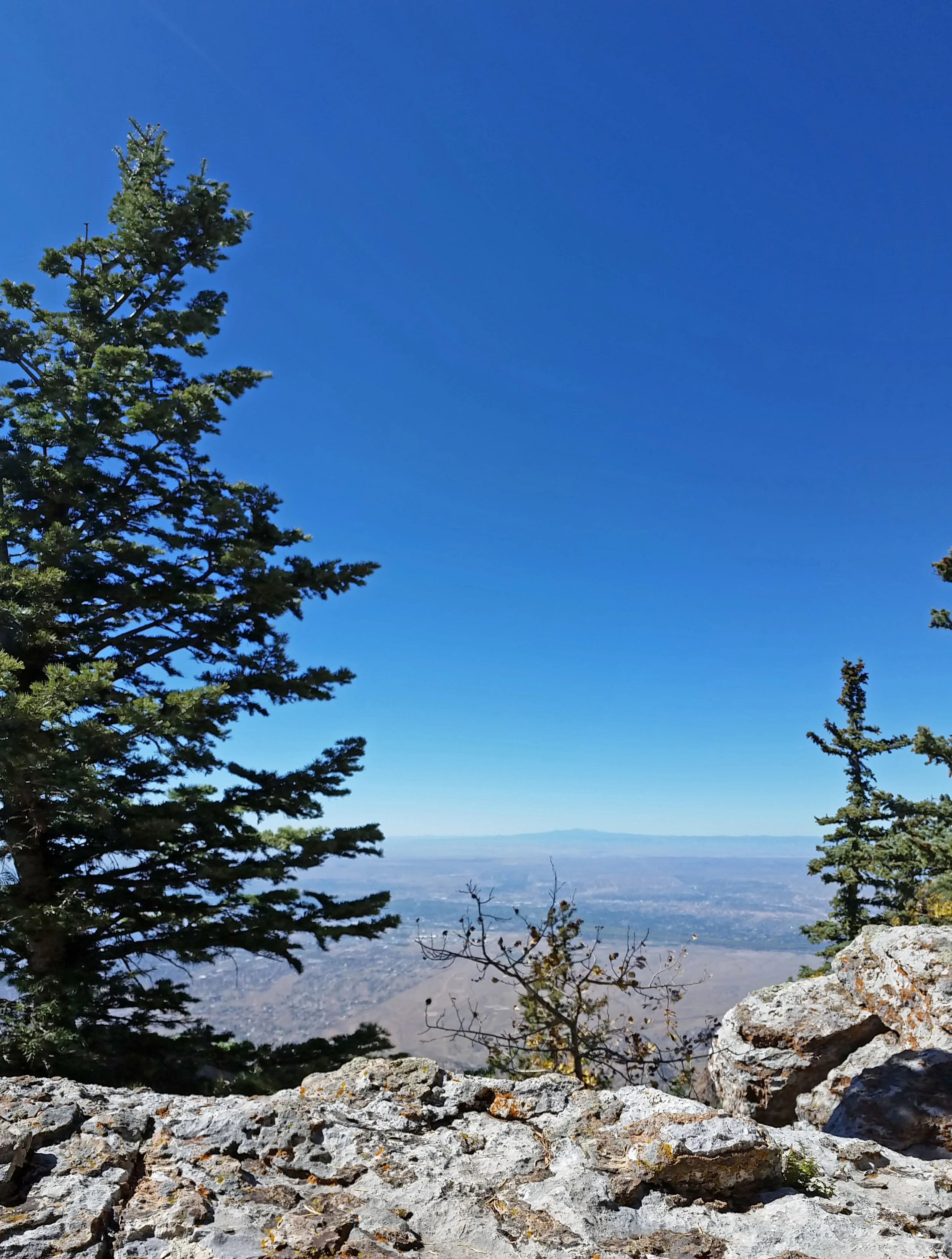 Here is my view from 10,600 feet up, atop the Sandia Crest overlooking Albuquerque and the Rio Grande. Far out on the western horizon, the San Mateos float like a vision. 