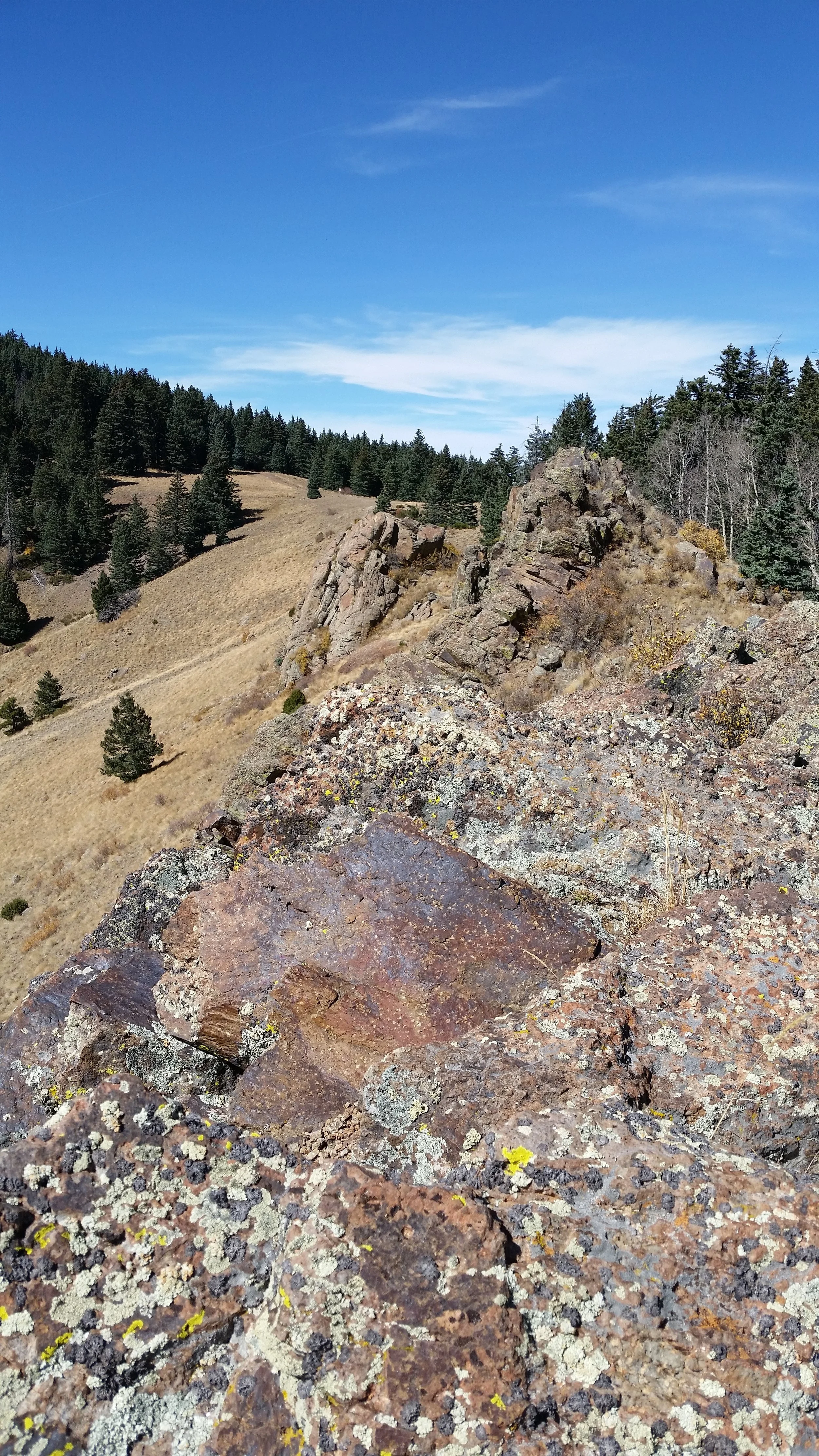 The igneous spine in the Mt. Taylor caldera.
