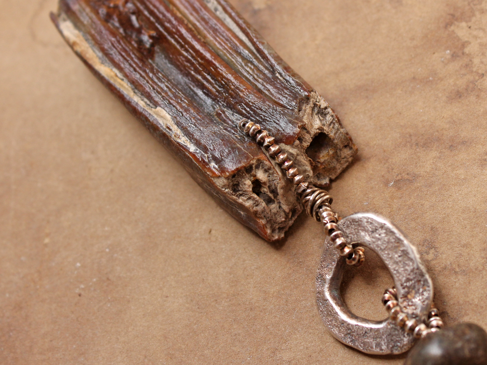 fossil7.jpg