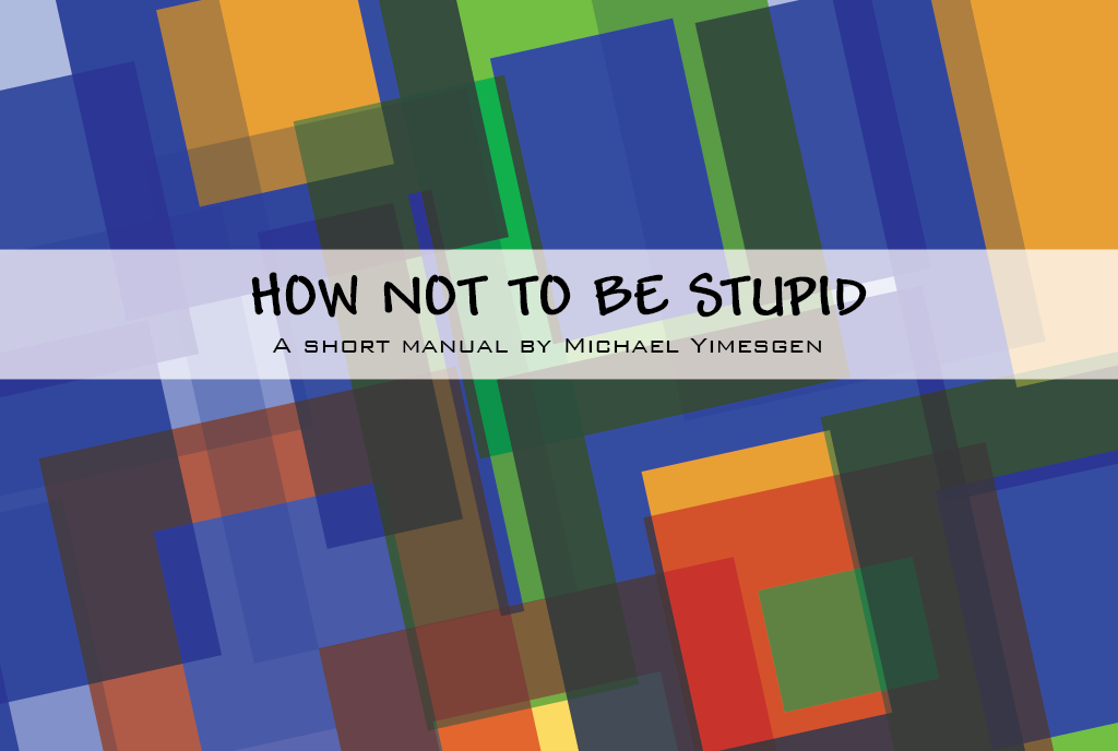 How NOT to be Stupid (The Manual) - Michael Yimesgen