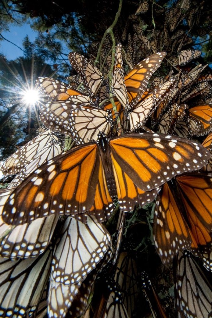 The Hinge of History