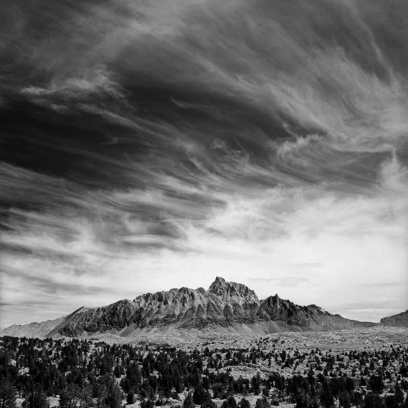 JMT_0714_3-4.jpg