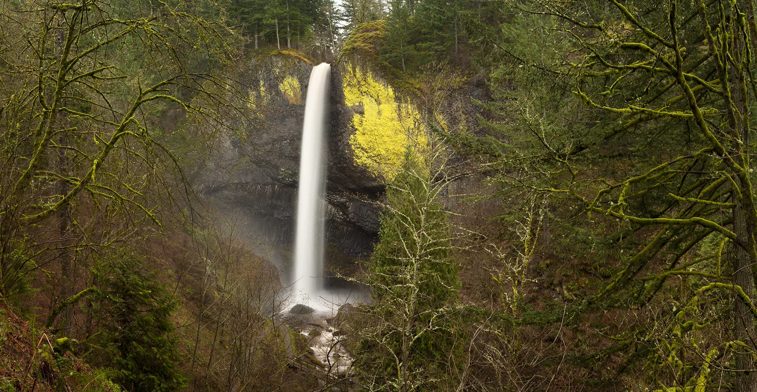 Oregon_7866.jpg