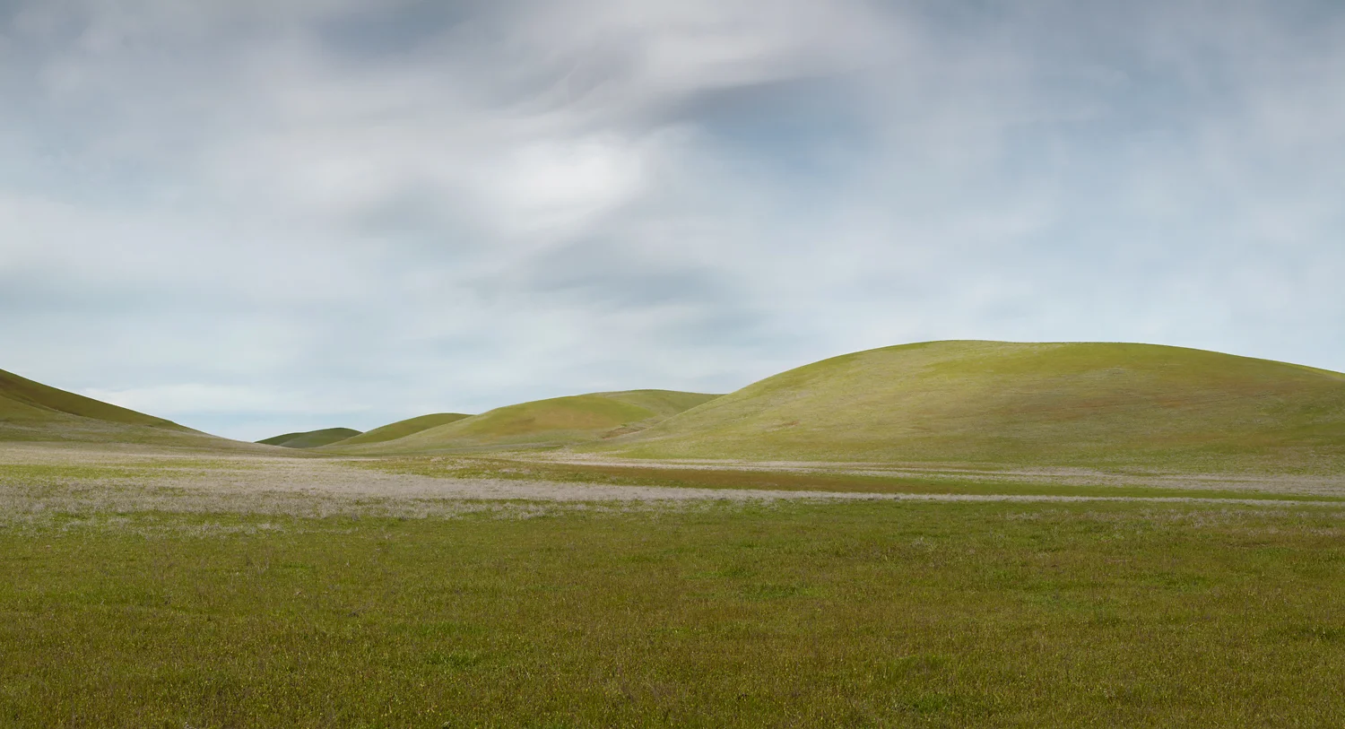 Sites_Rd_8872.jpg