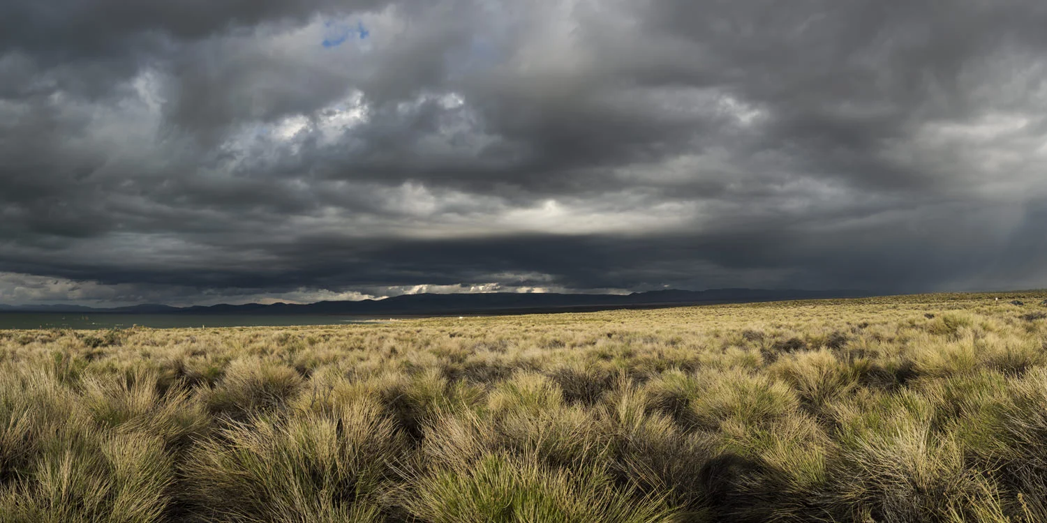 Mono_Lake_Grass-0403.jpg