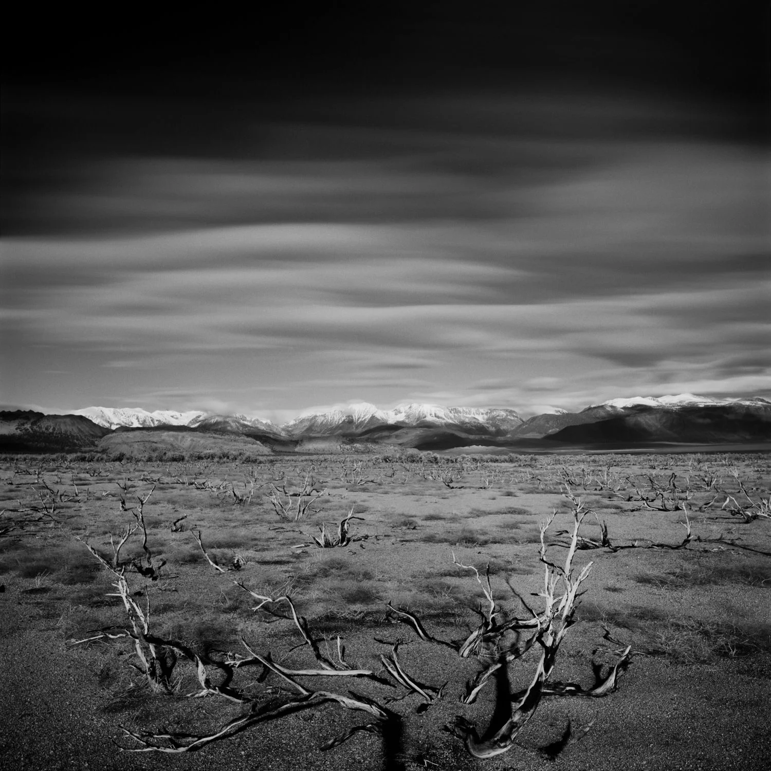 Eastern Plains of Mono Lake