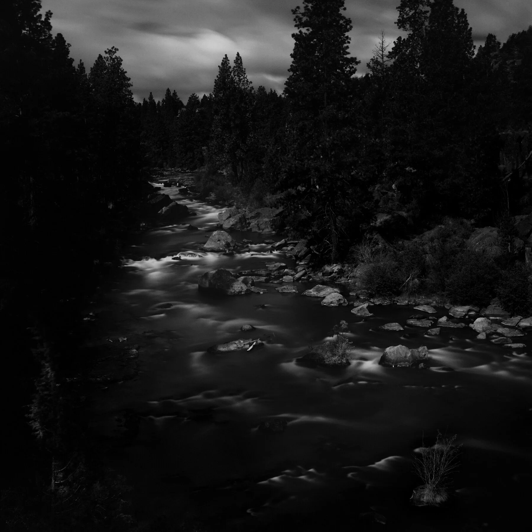 Into the Mountains