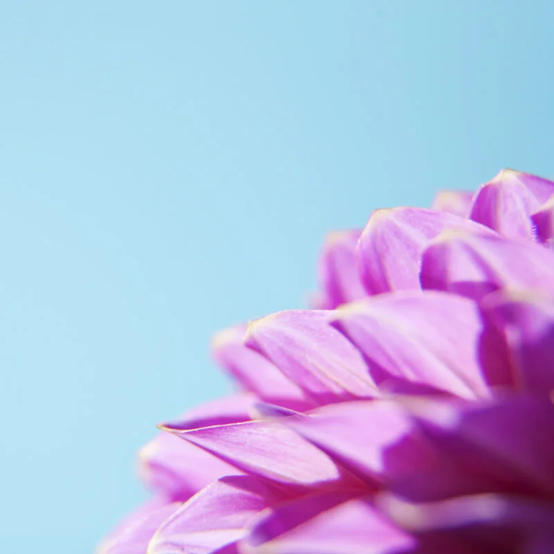Botanicals